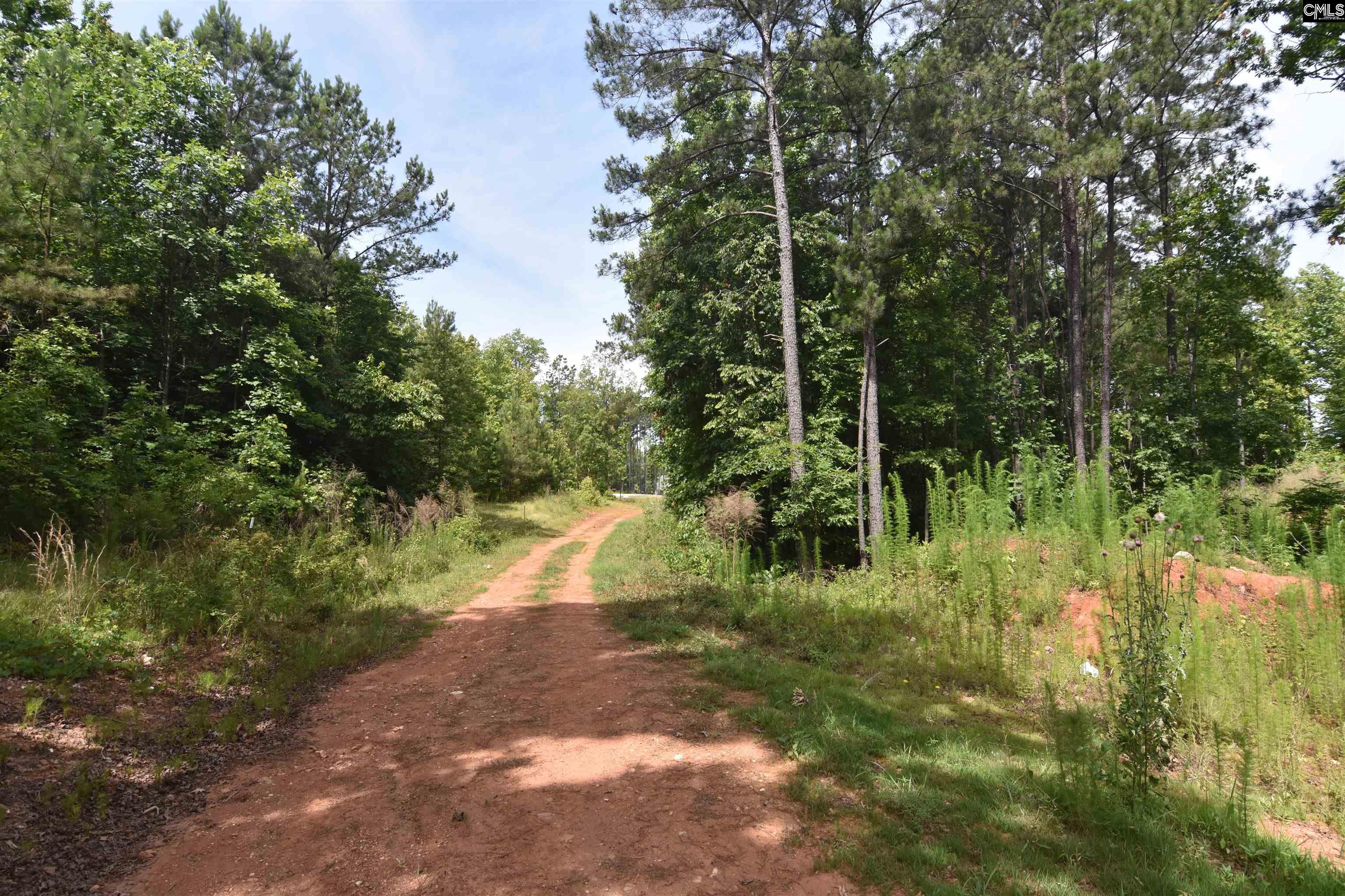 Longview Drive, Leesville, South Carolina image 14