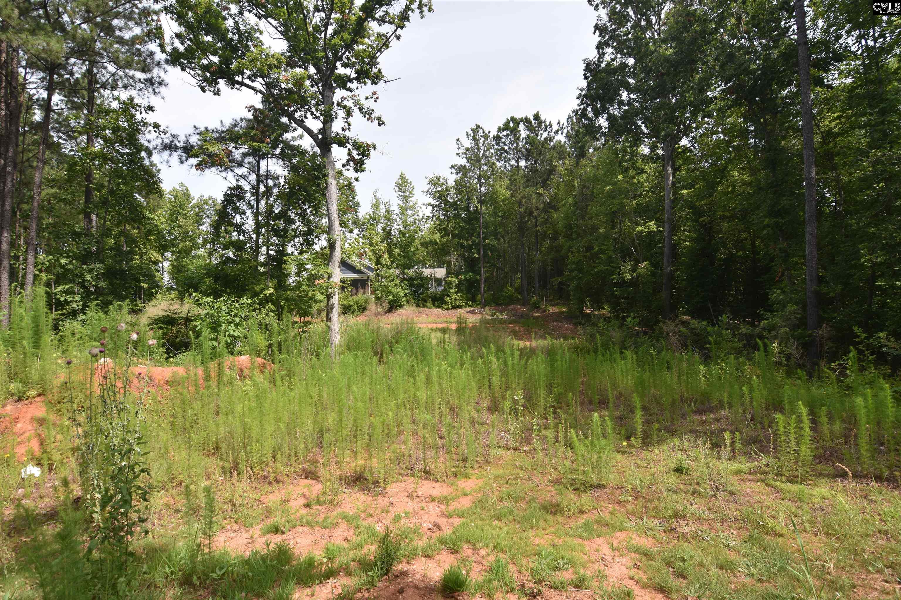 Longview Drive, Leesville, South Carolina image 15