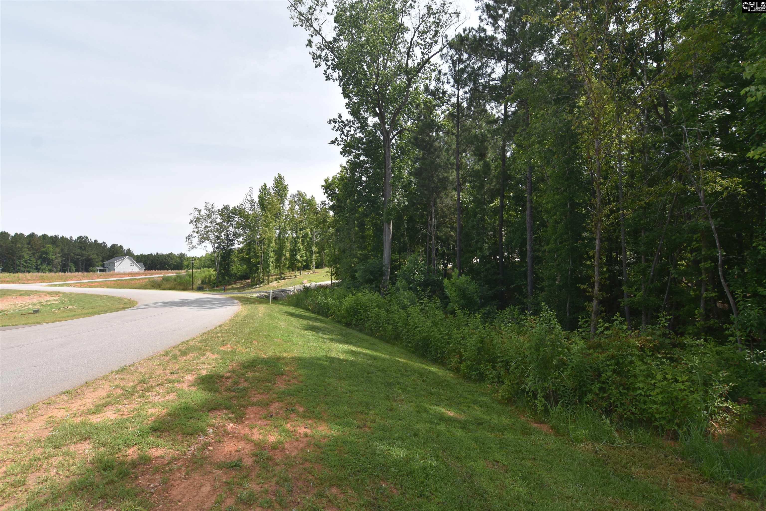 Longview Drive, Leesville, South Carolina image 3