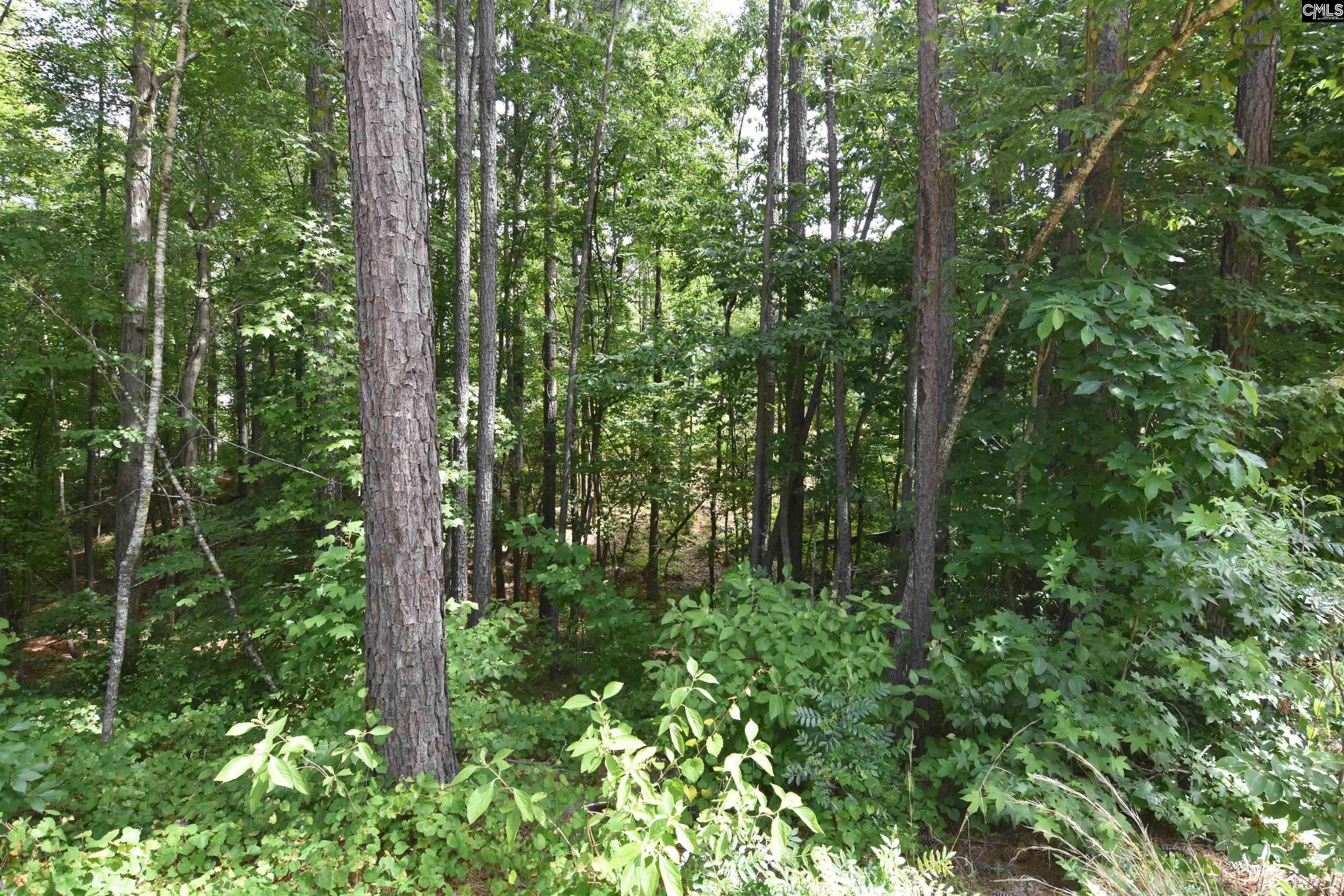 Longview Drive, Leesville, South Carolina image 5