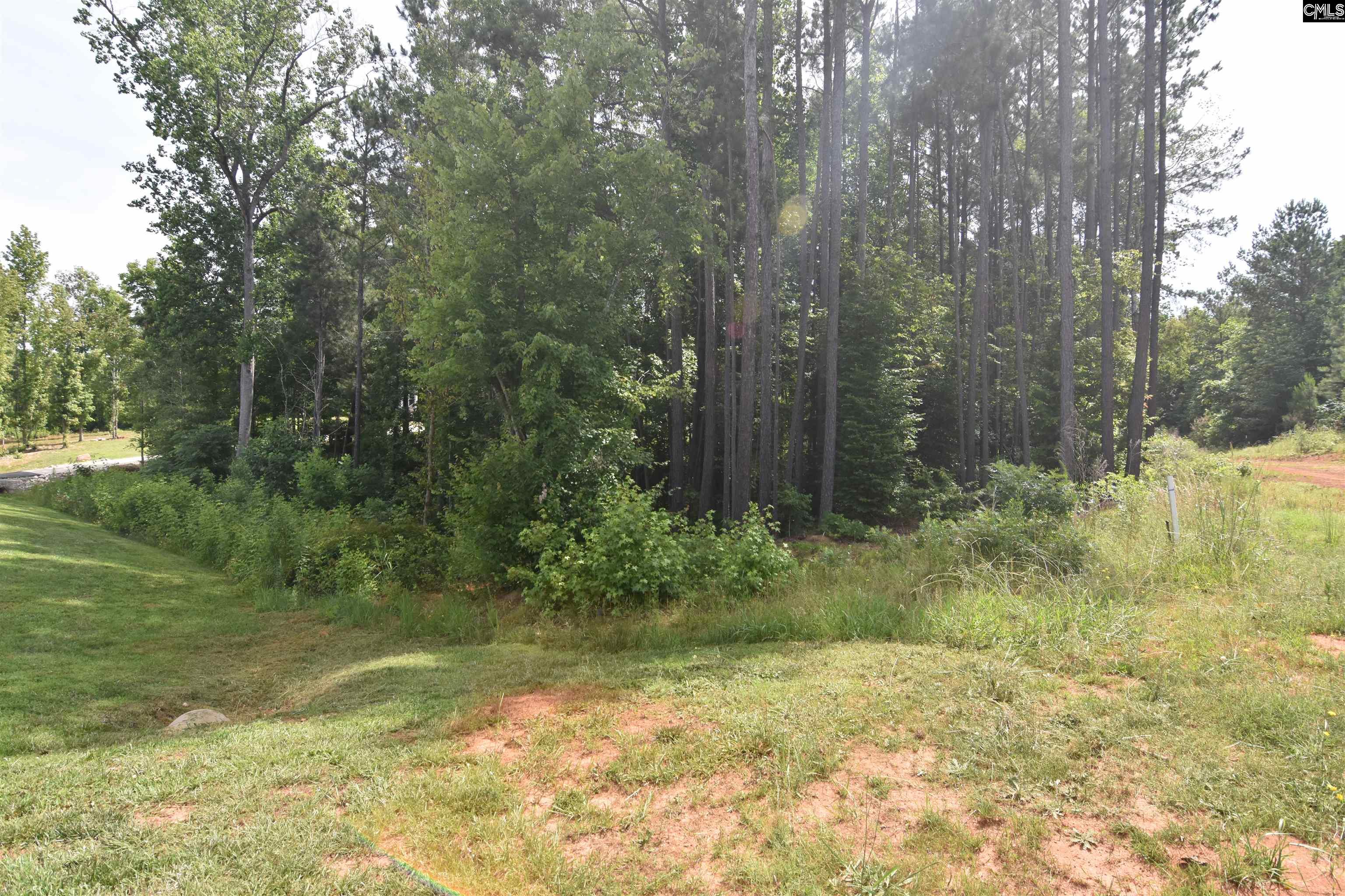 Longview Drive, Leesville, South Carolina image 6