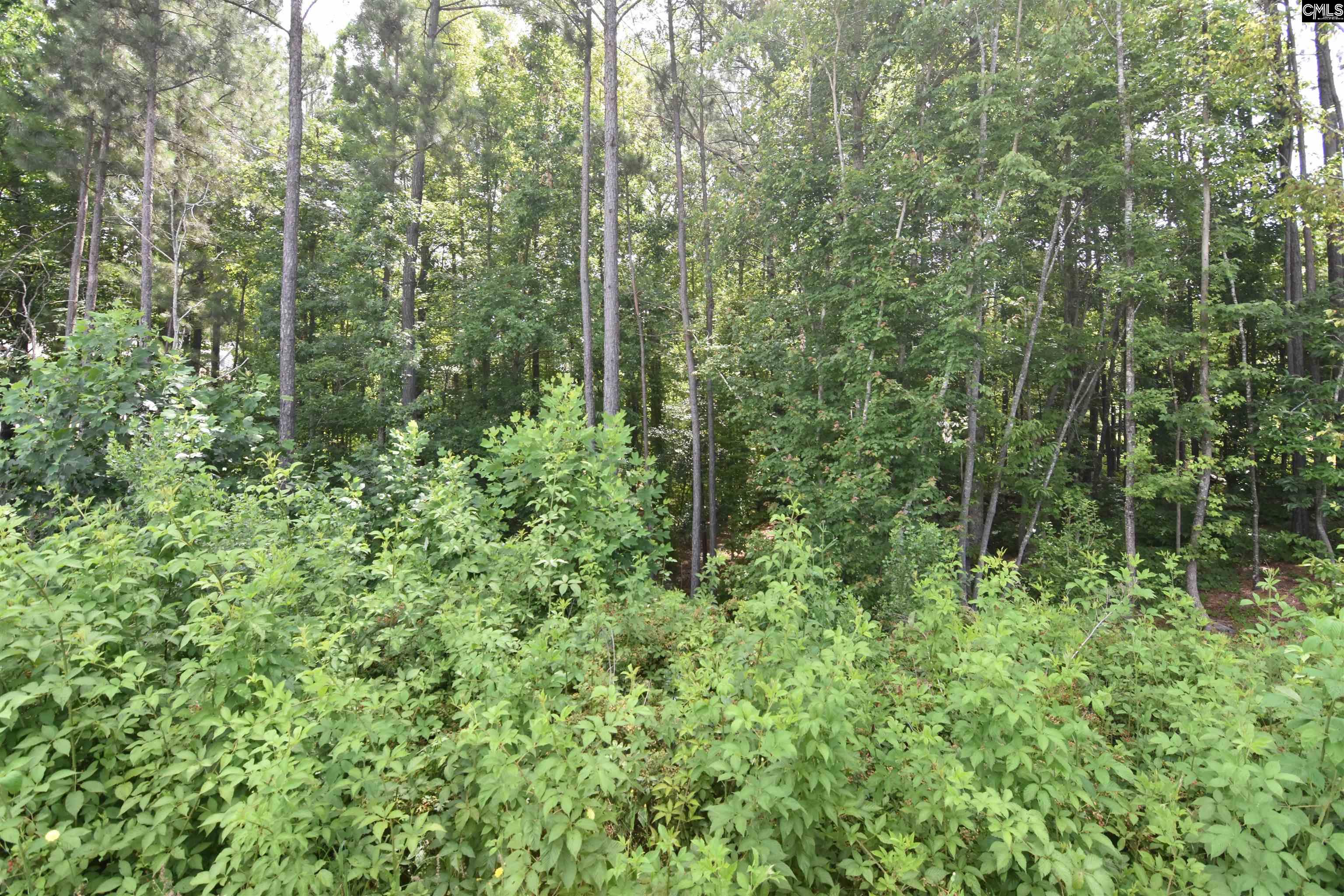 Longview Drive, Leesville, South Carolina image 7