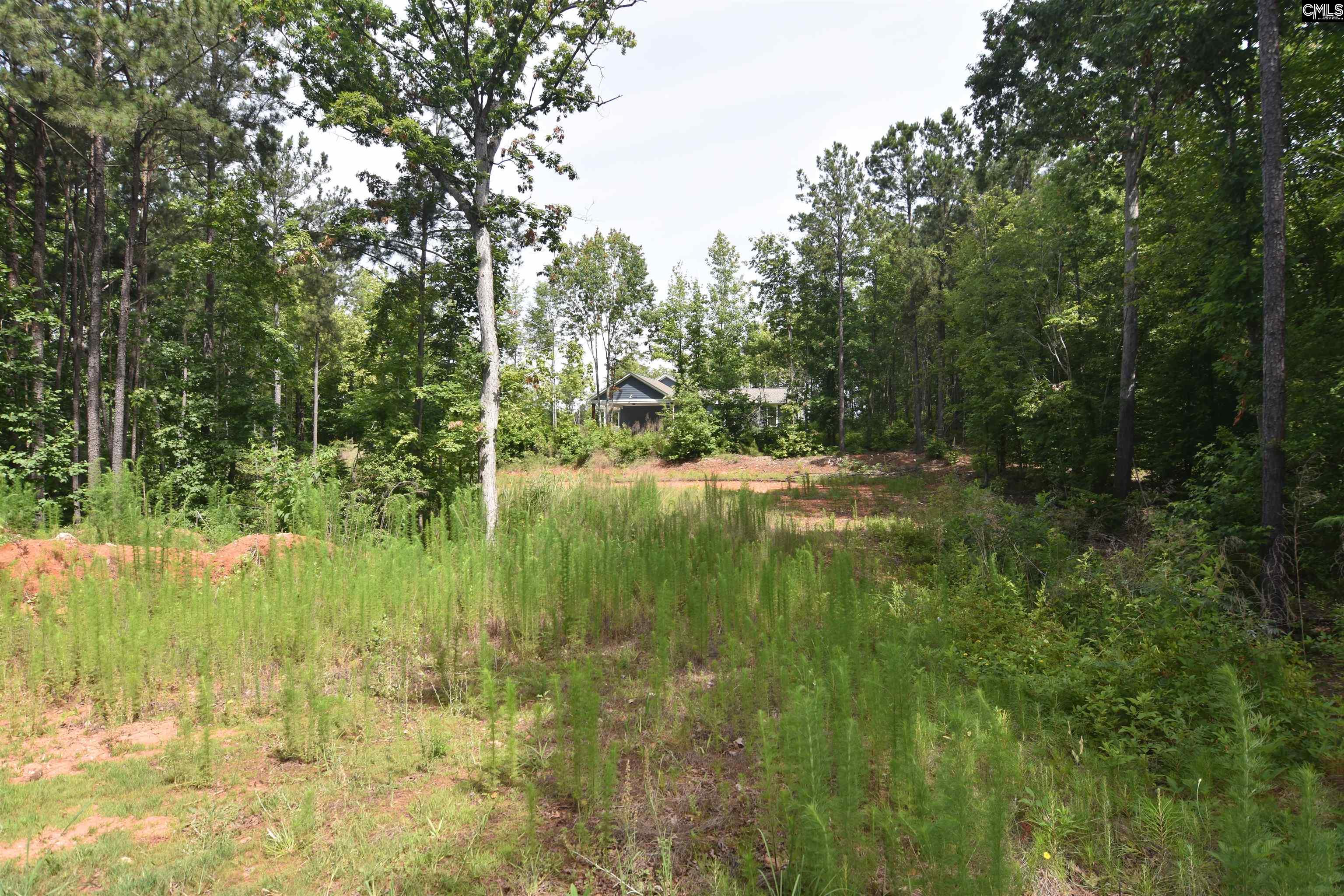 Longview Drive, Leesville, South Carolina image 8