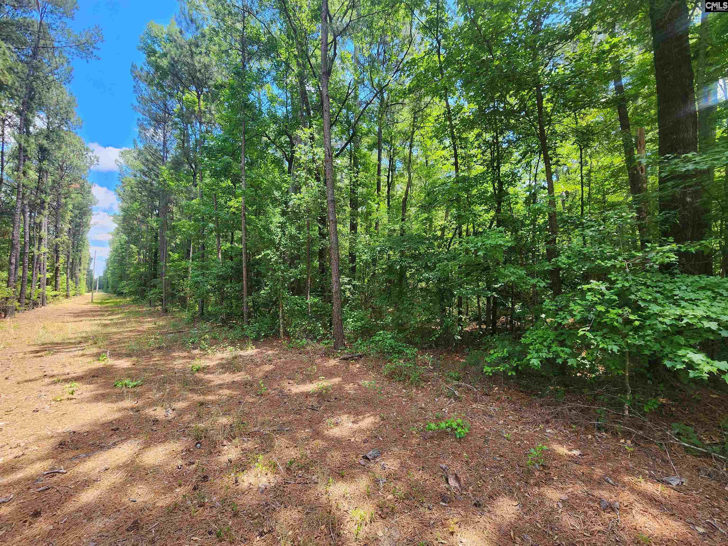 E/s Mccords Ferry Road Eastover, SC 29061