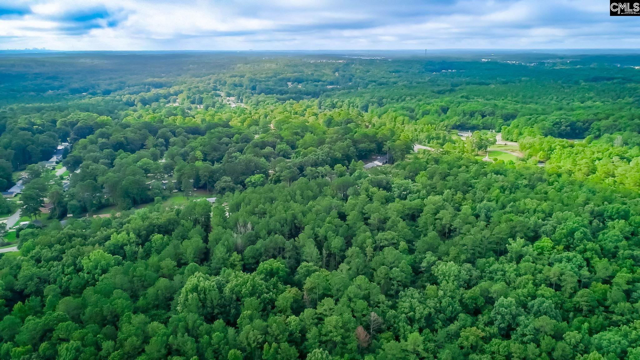 1627 Hollingshed Road Irmo, SC 29063