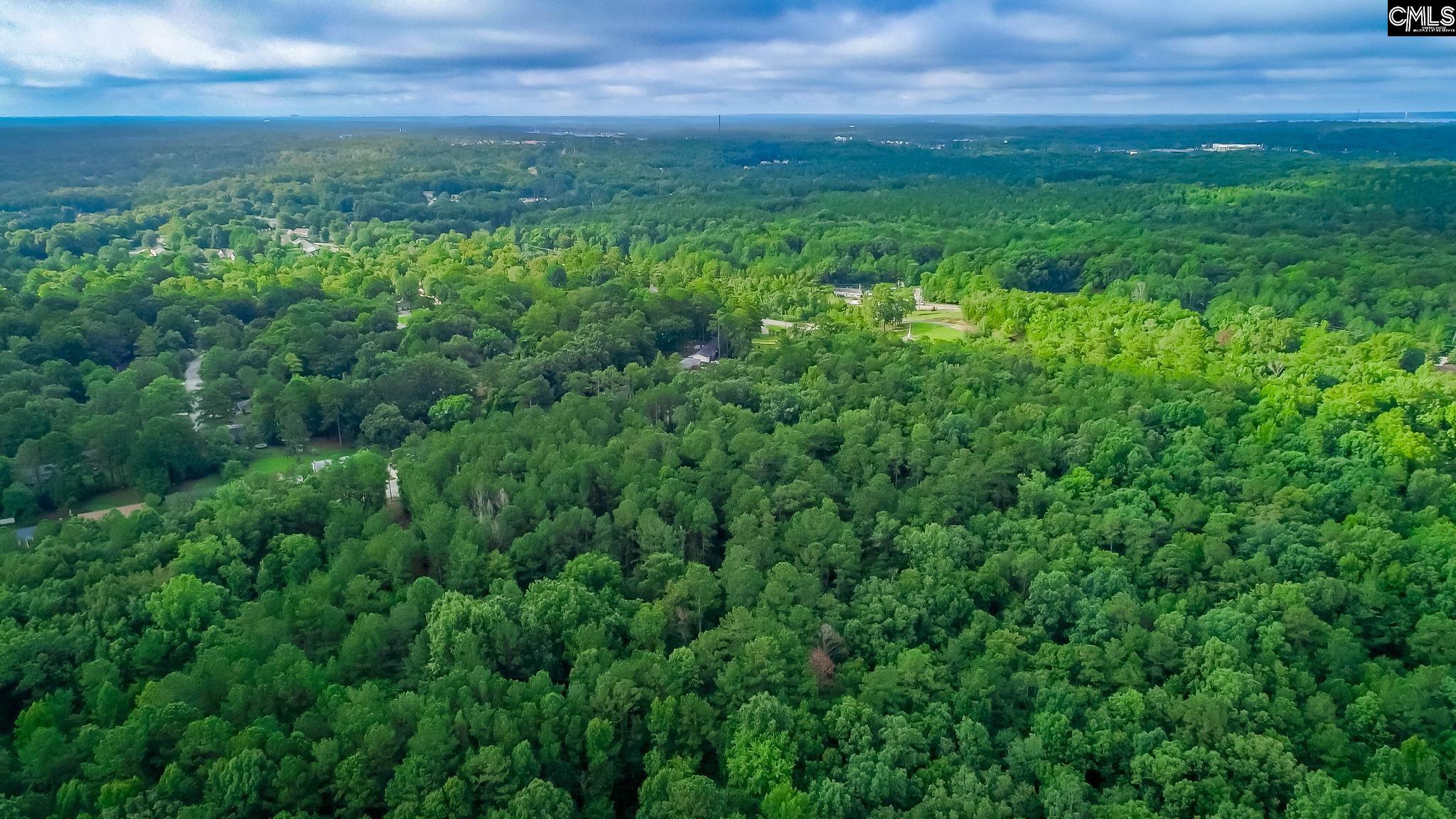 1627 Hollingshed Road Irmo, SC 29063