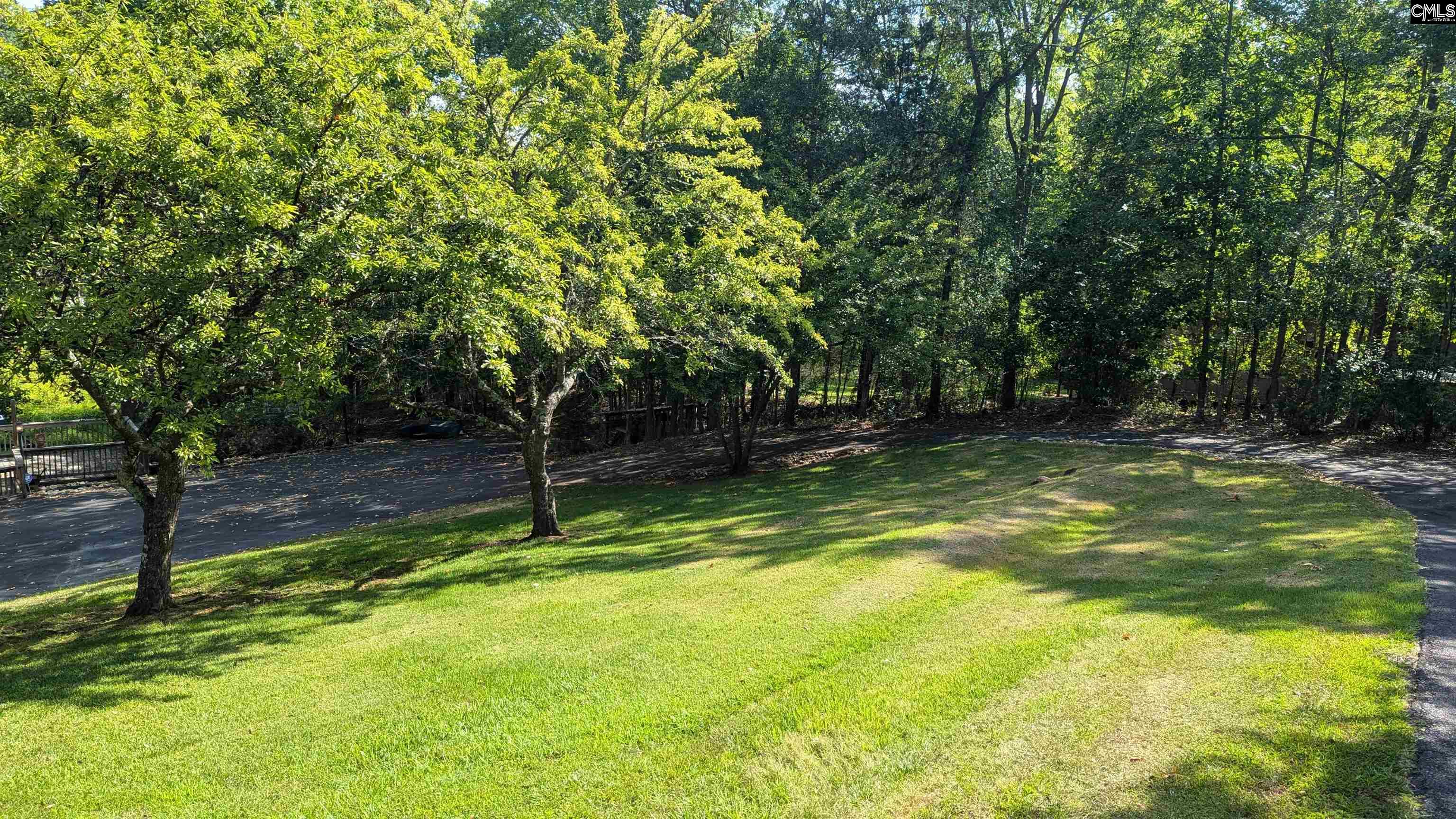 705 Deer Run Road, Ridgeway, South Carolina image 28