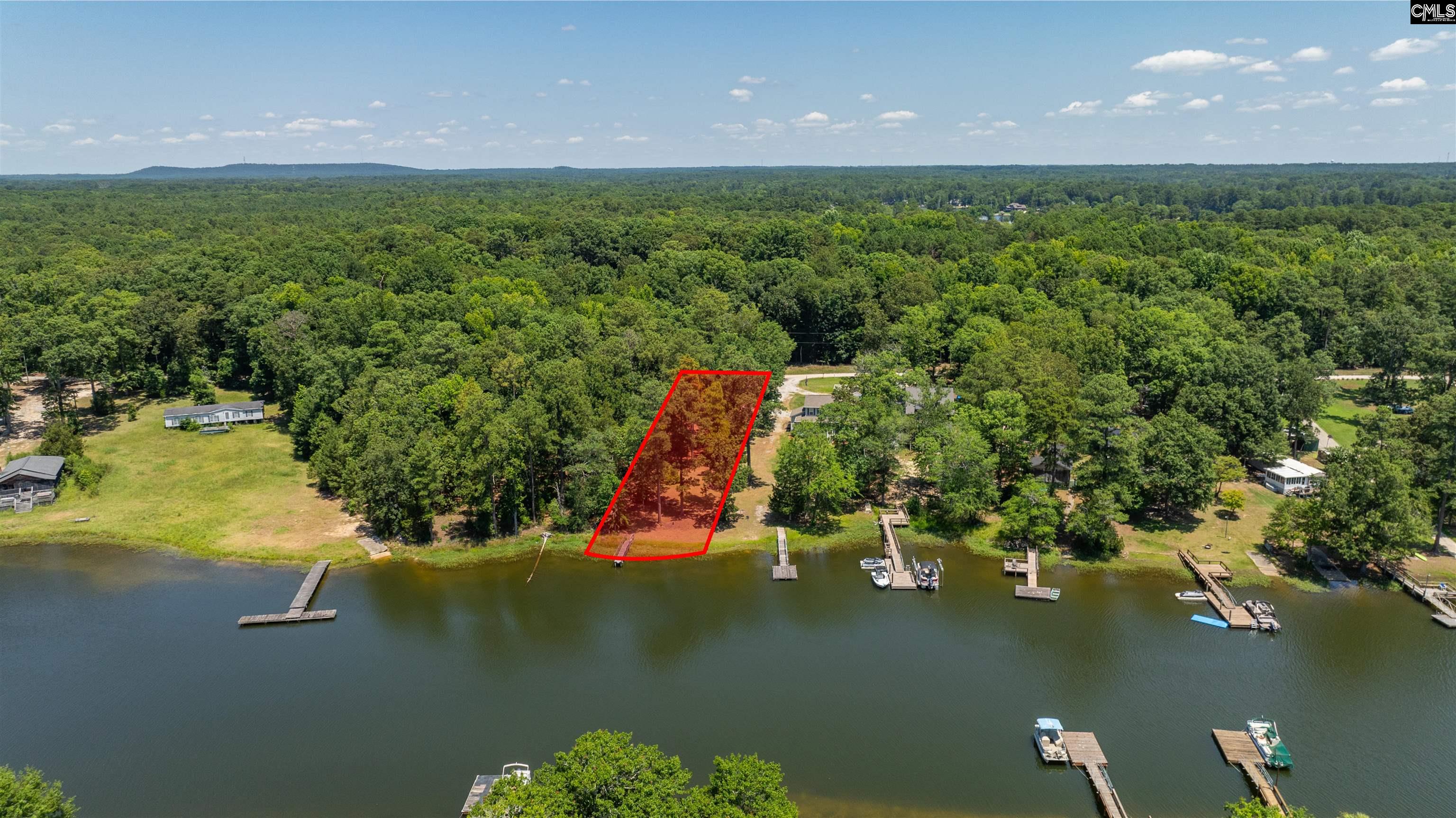 161 Nel La Lane, Chapin, South Carolina image 2