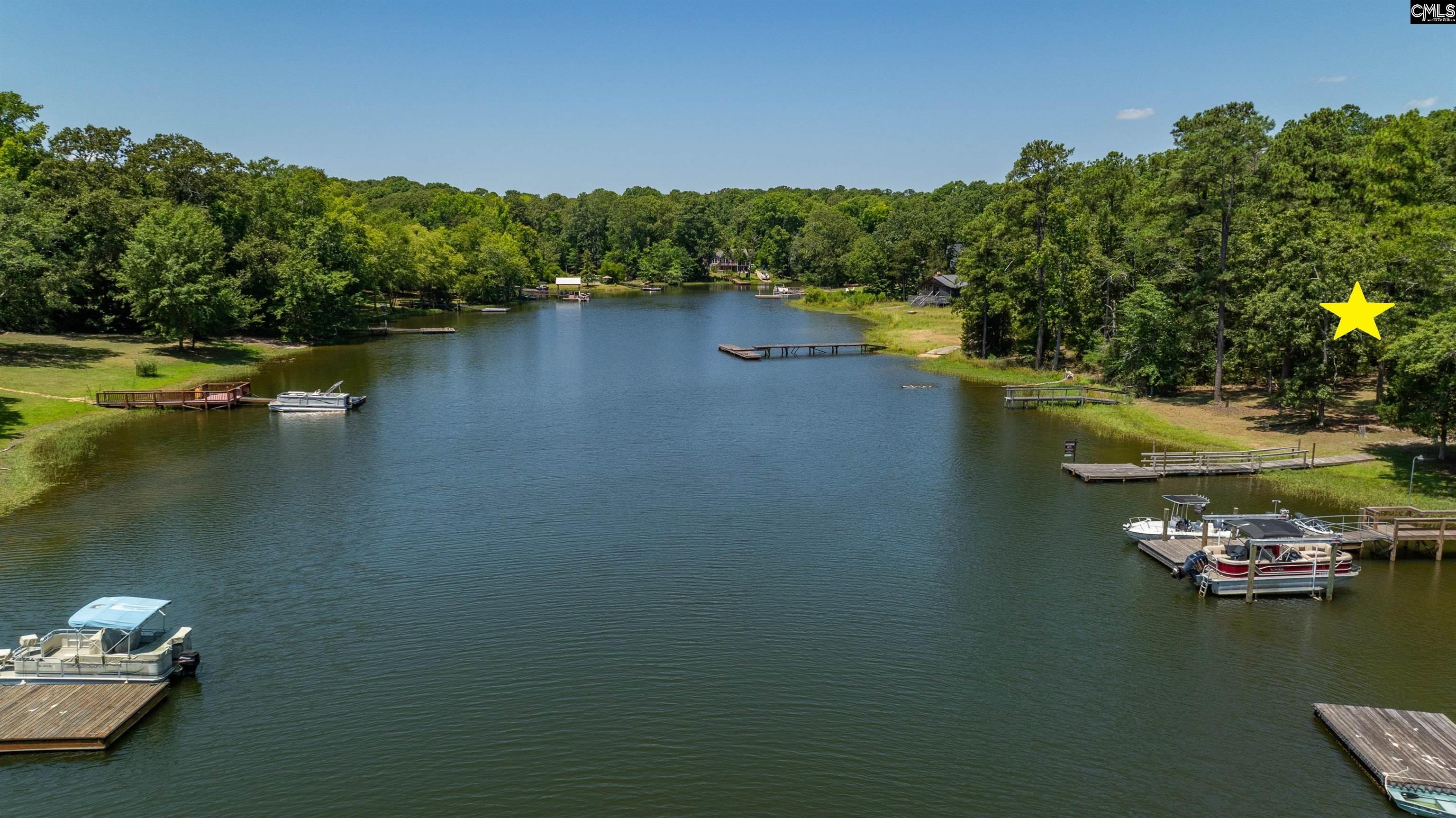 161 Nel La Lane, Chapin, South Carolina image 12