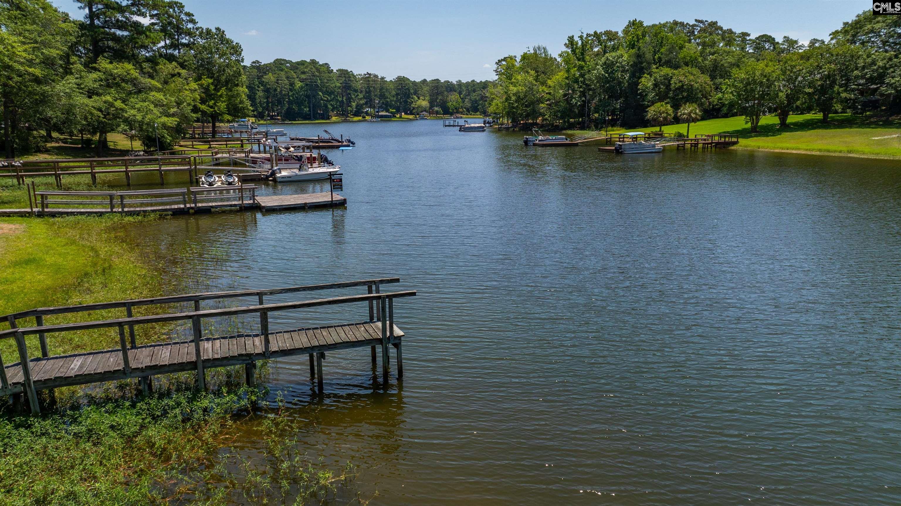 161 Nel La Lane, Chapin, South Carolina image 18