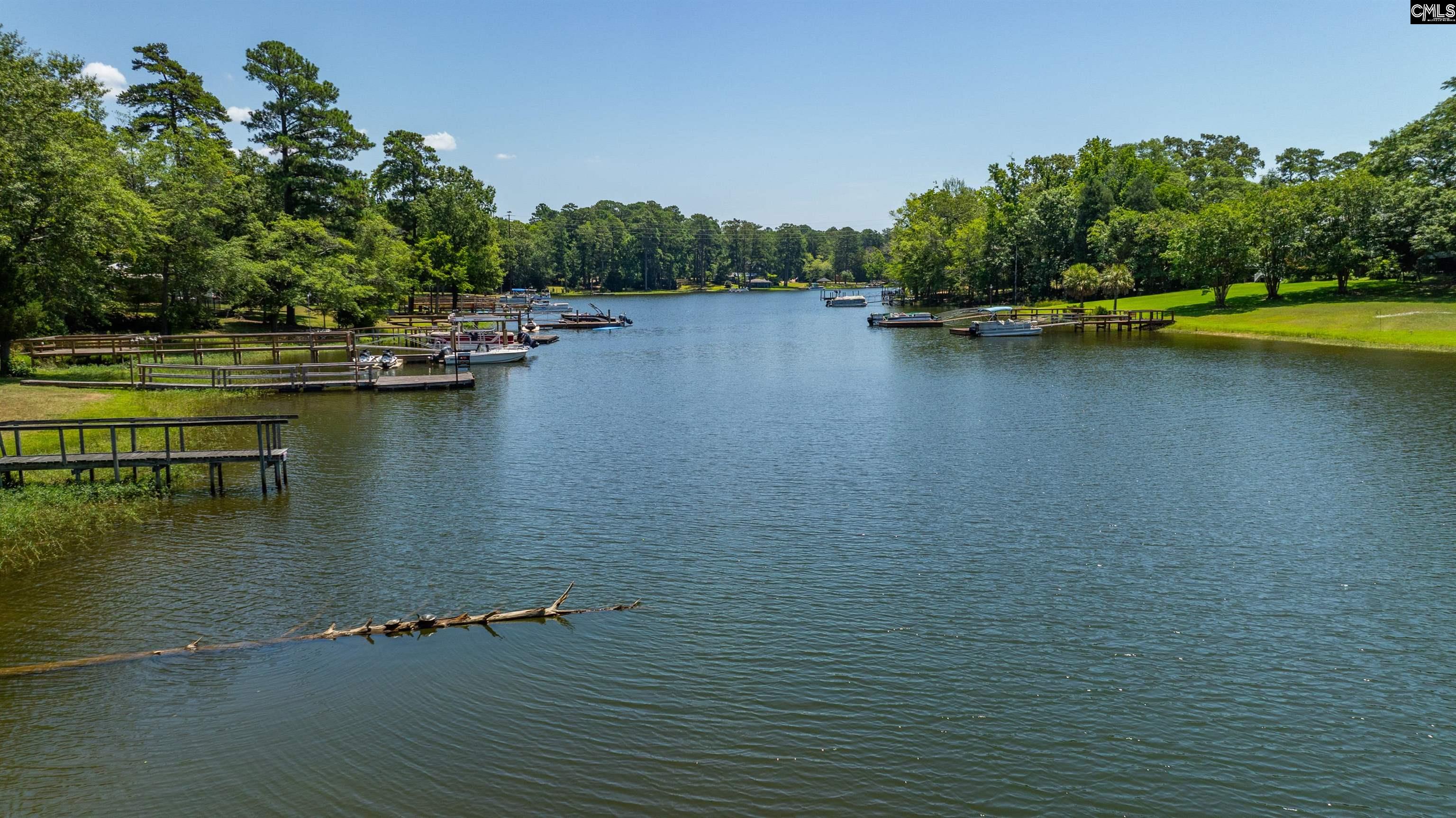161 Nel La Lane, Chapin, South Carolina image 19
