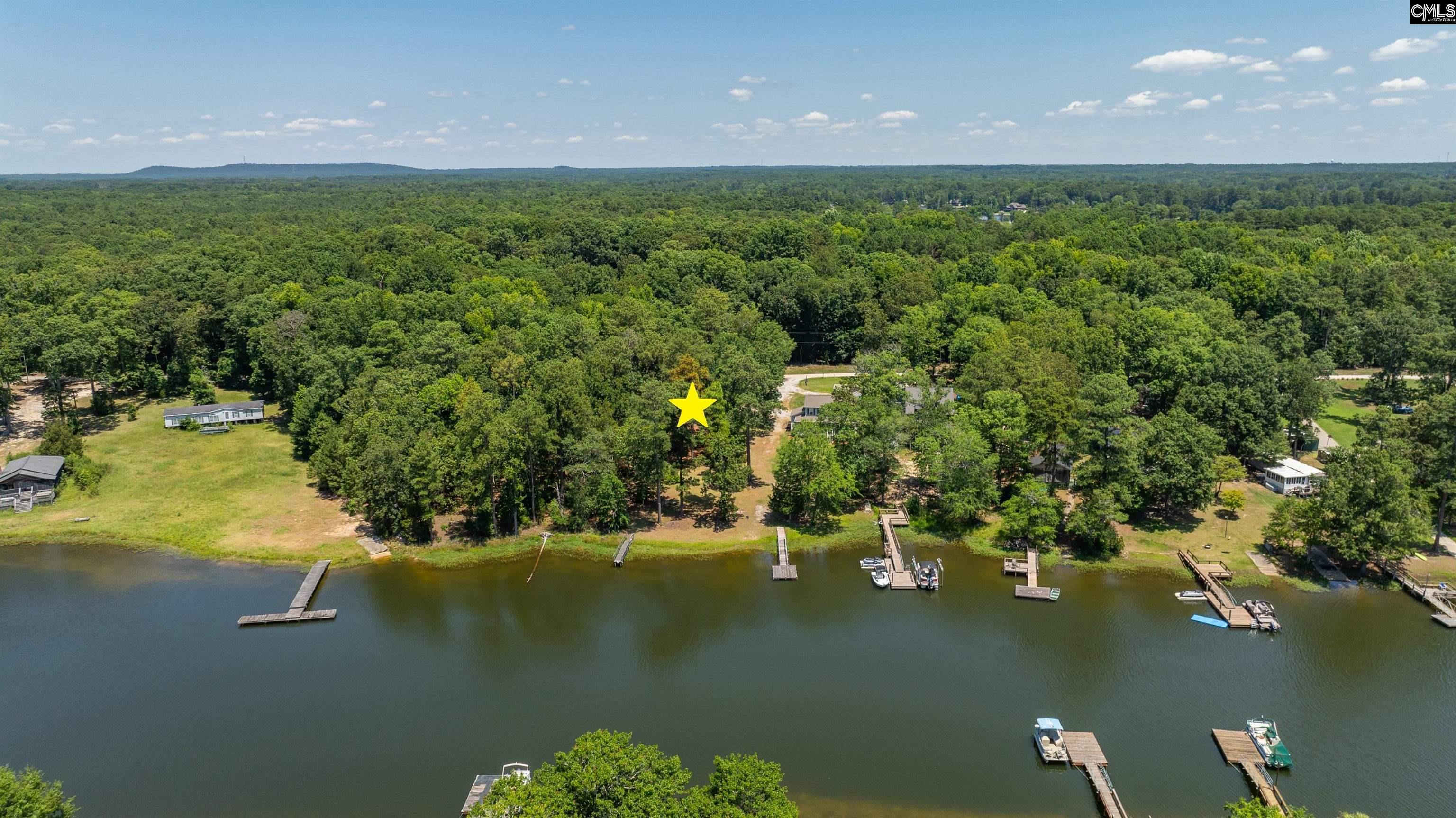 161 Nel La Lane, Chapin, South Carolina image 3