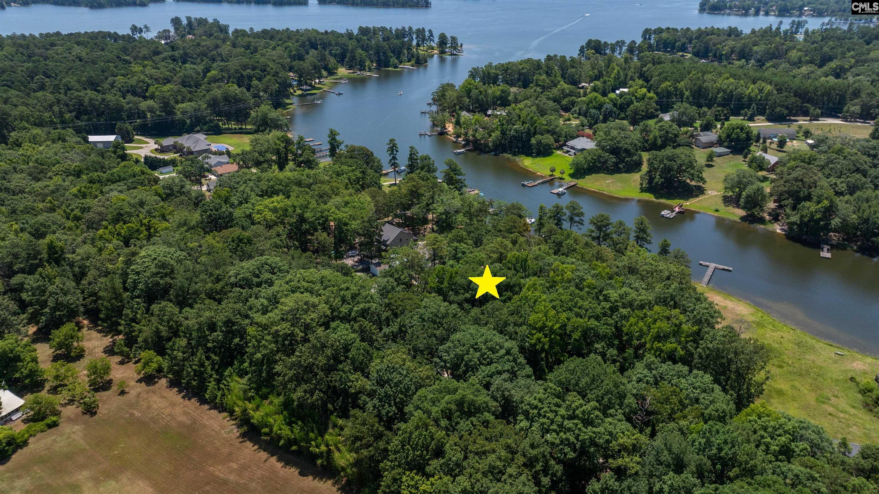 161 Nel La Lane, Chapin, South Carolina image 7