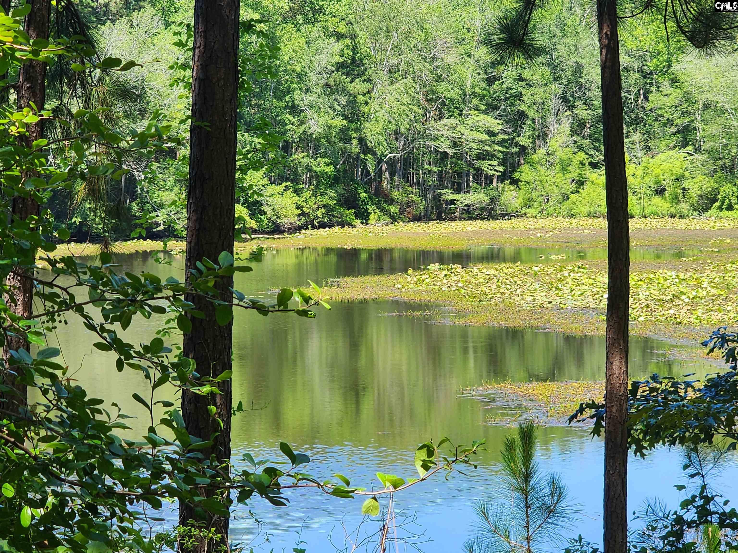 1984 Larry Jeffers Road Elgin, SC 29045