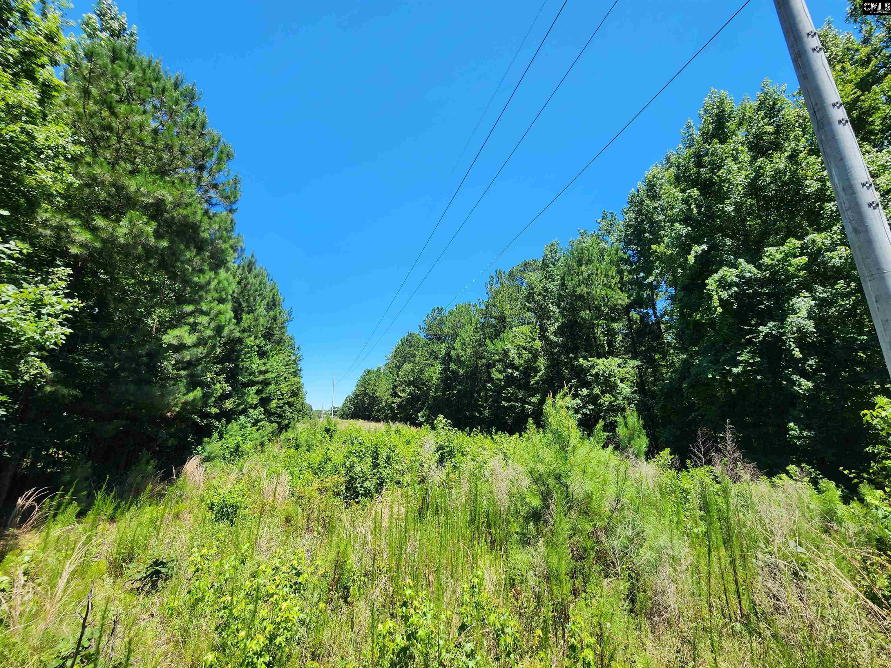 1984 Larry Jeffers Road Elgin, SC 29045