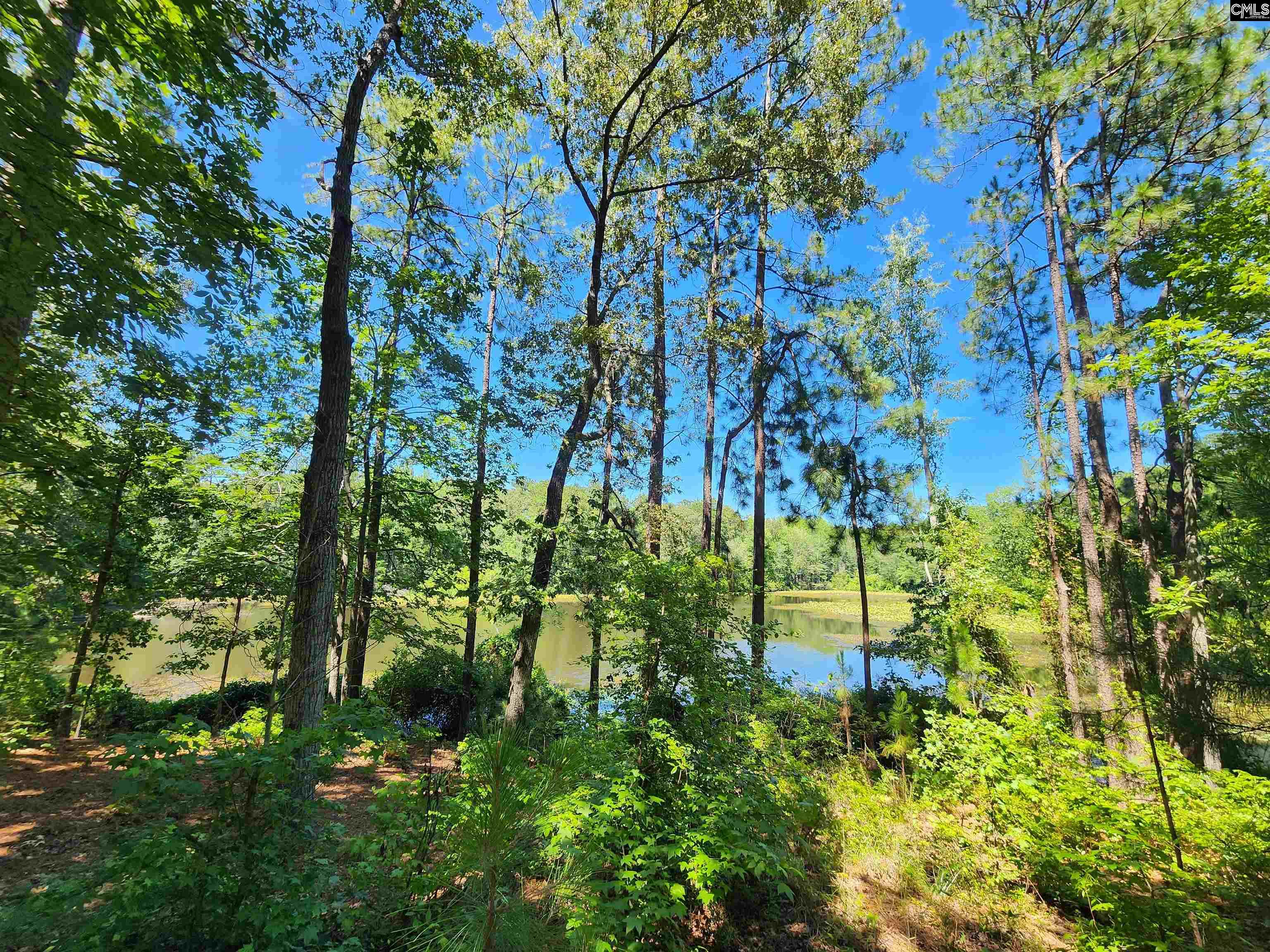 1984 Larry Jeffers Road Elgin, SC 29045