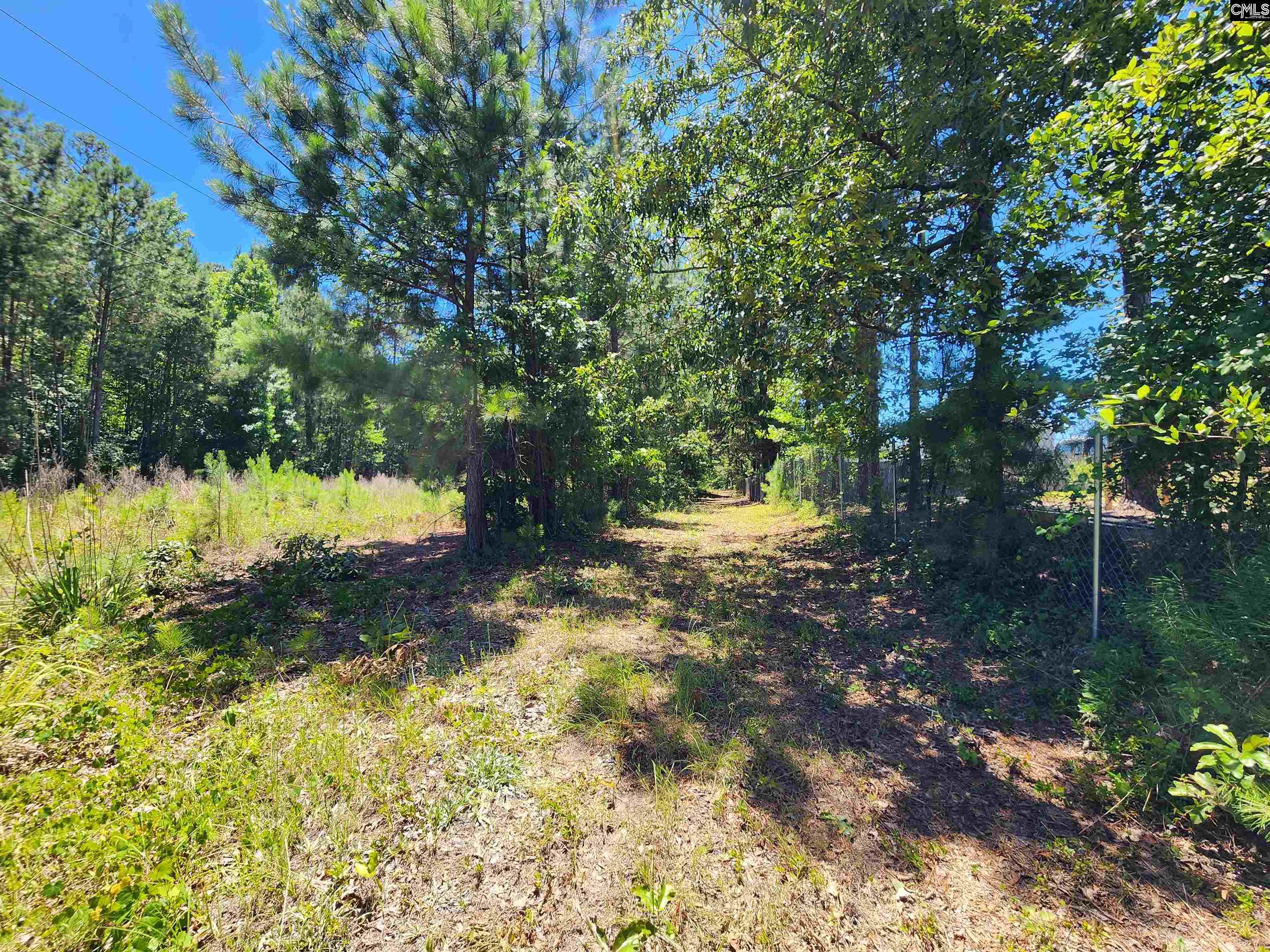1984 Larry Jeffers Road Elgin, SC 29045