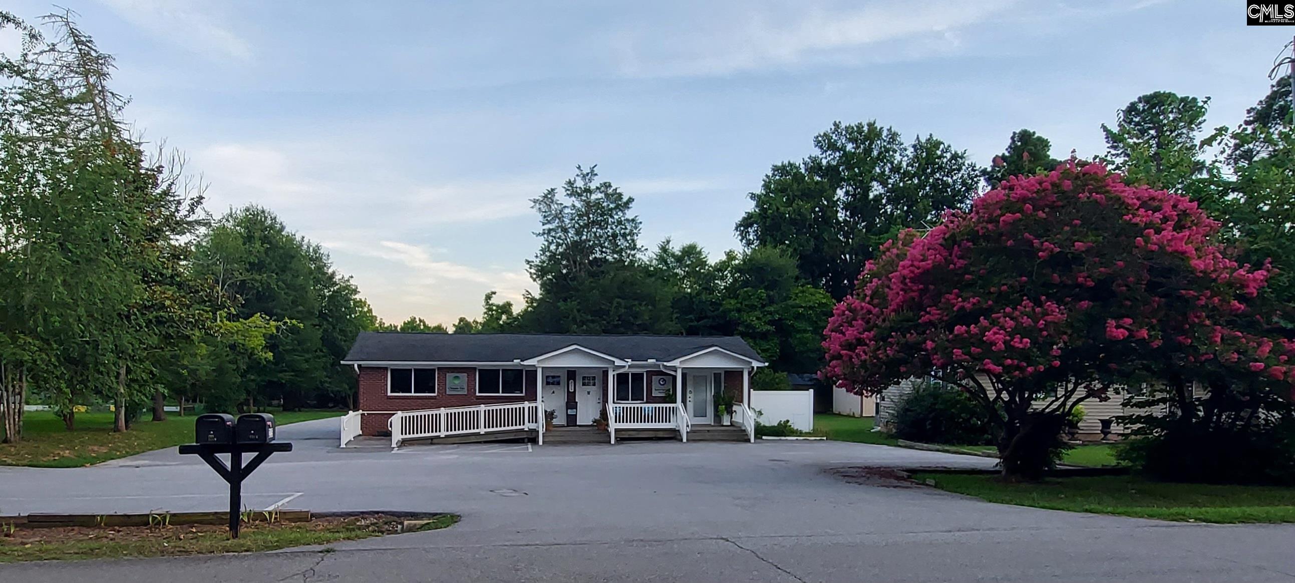 215 Beaufort Street Chapin, SC 29036