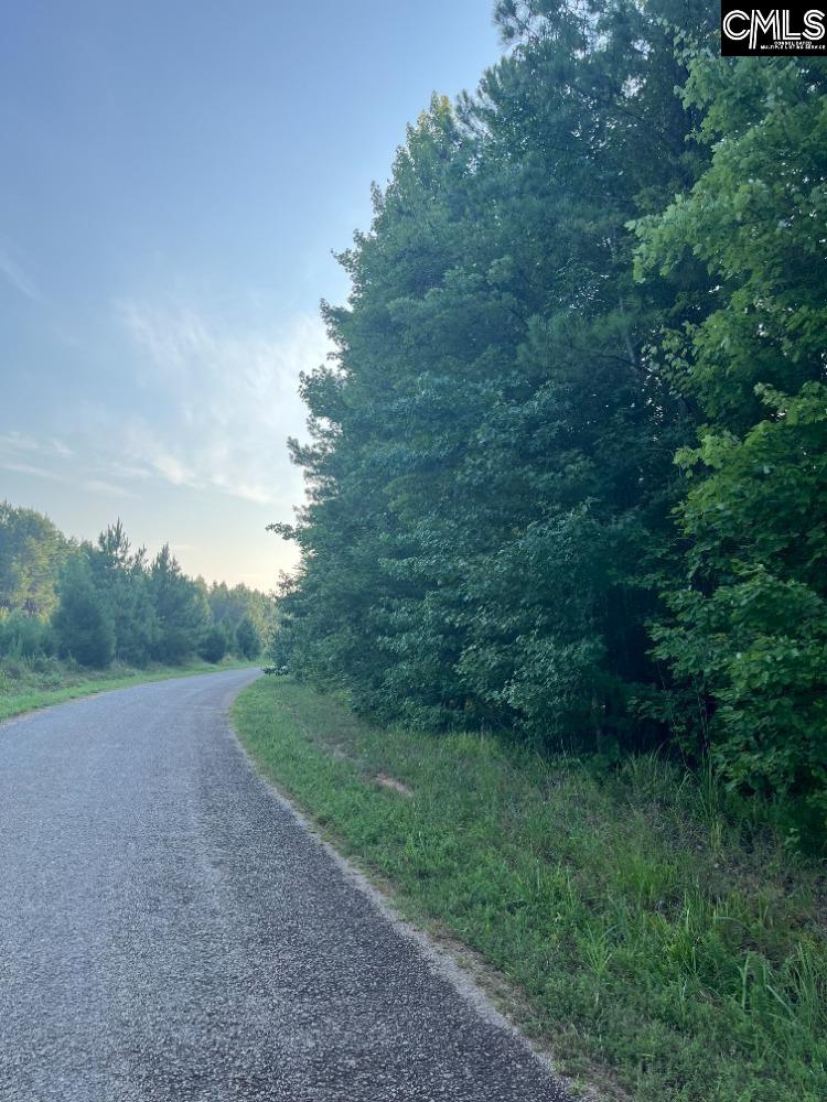 Mt. Hope Road Ridgeway, SC 29130