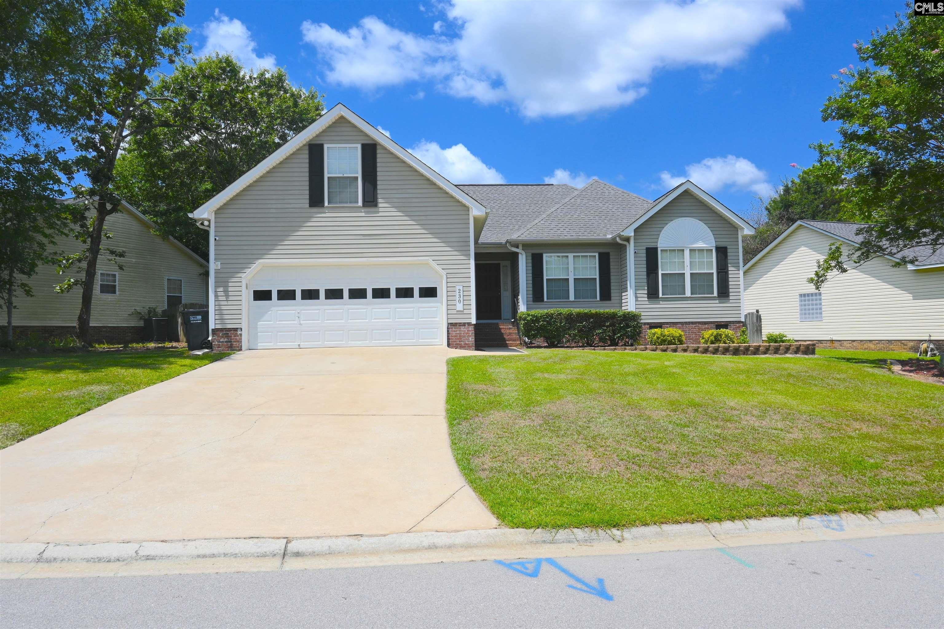 230 Elm Creek Court Chapin, SC 29036