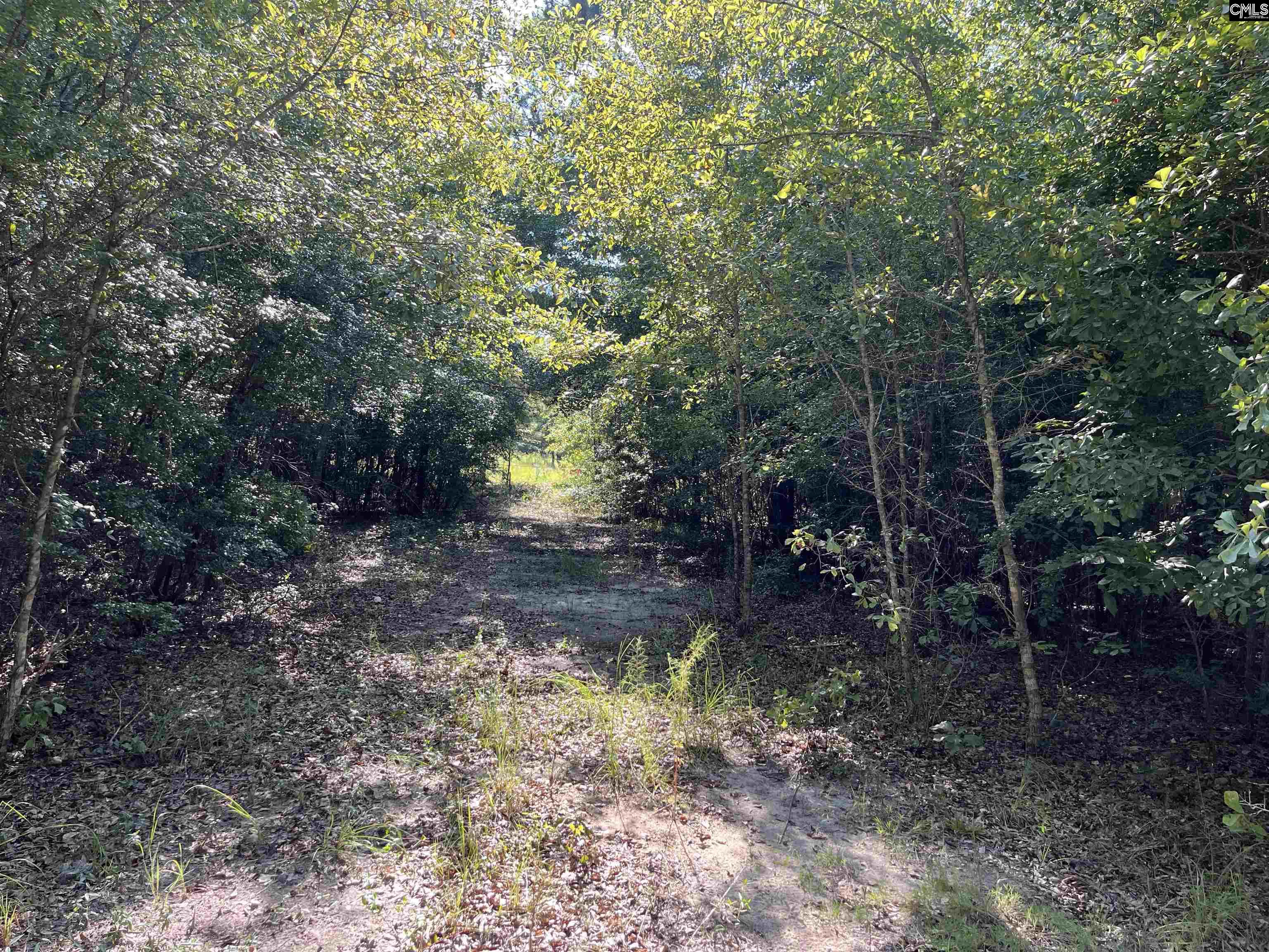 TBD Parkwood Avenue North, SC 29112