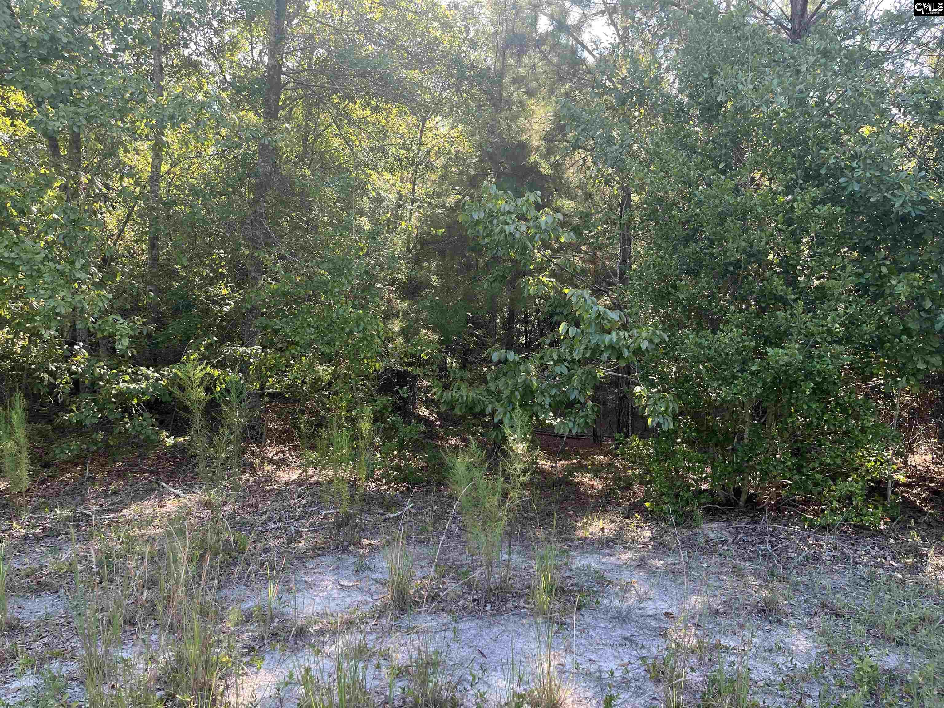 TBD Parkwood Avenue North, SC 29112