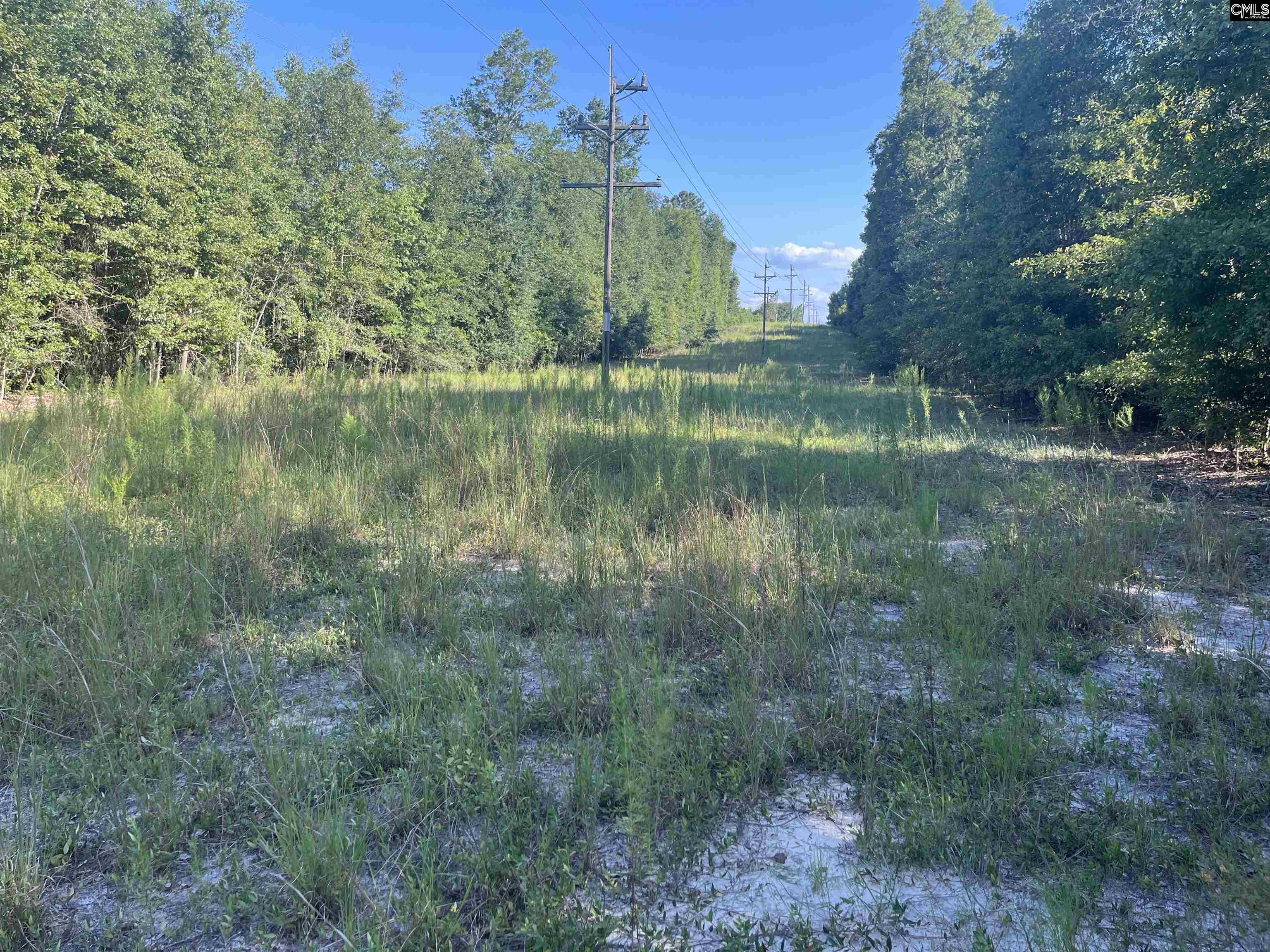 TBD Parkwood Avenue North, SC 29112