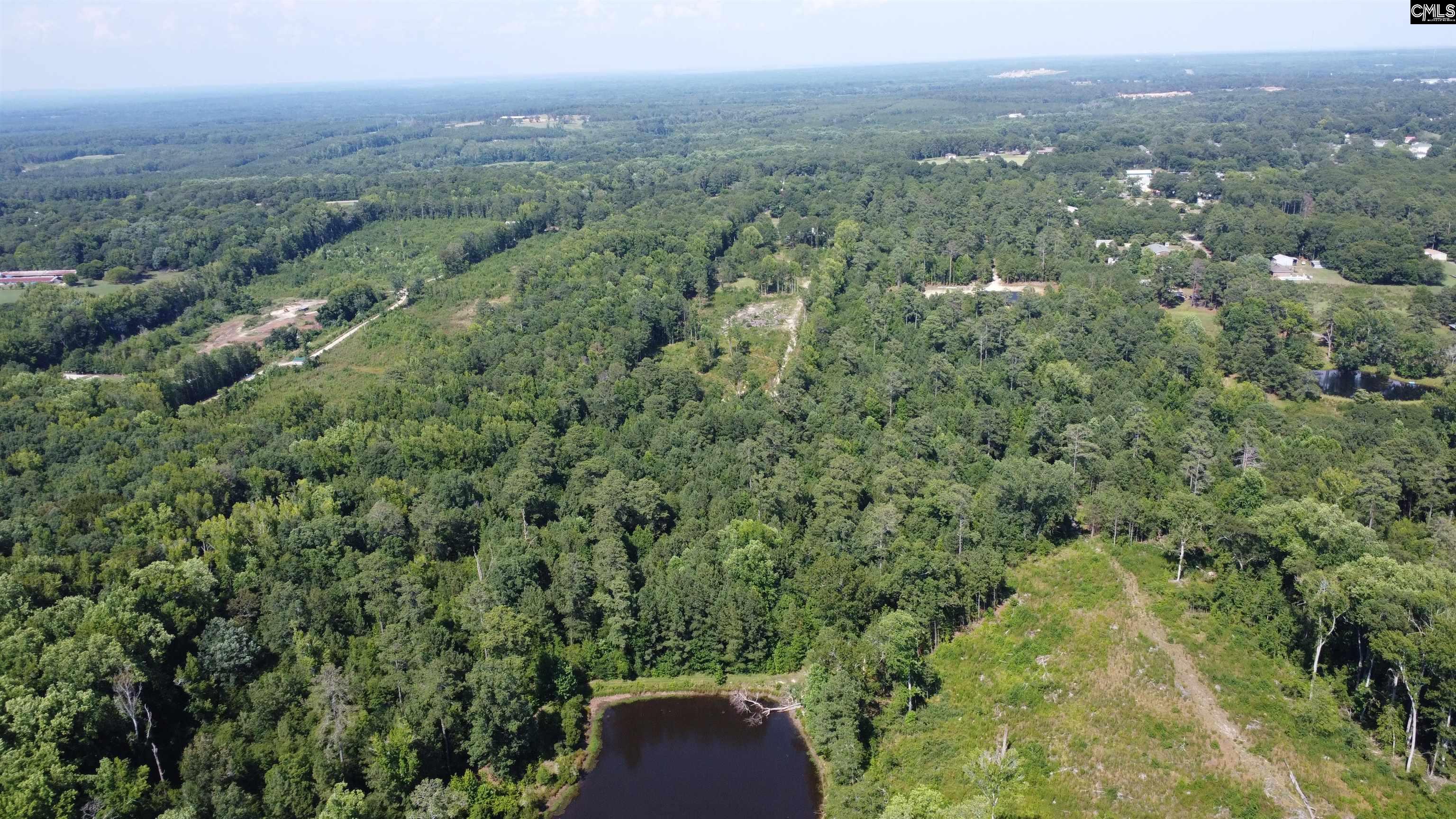 453 N Bryan Street Leesville, SC 29070