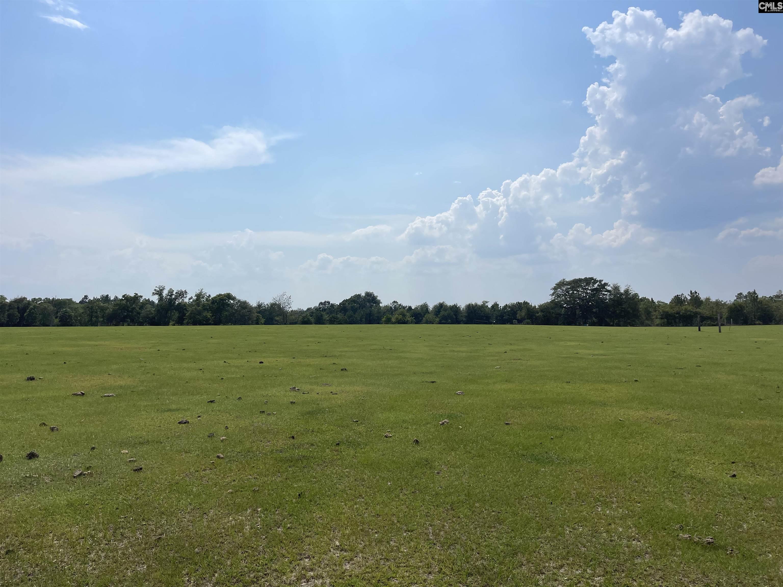  Lots For Sale -  Sand Dam, Wagener, SC - 4 