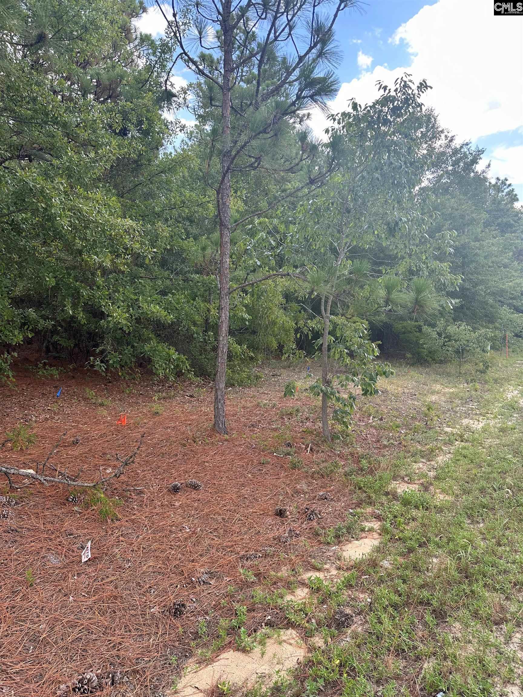 1148 Hwy1 South Lugoff, SC 29078