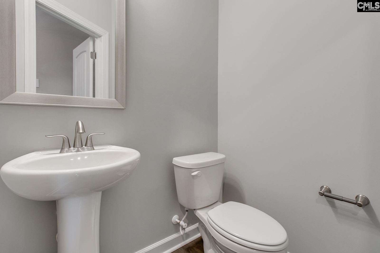 1631 Brewster Court, Chapin, South Carolina image 33