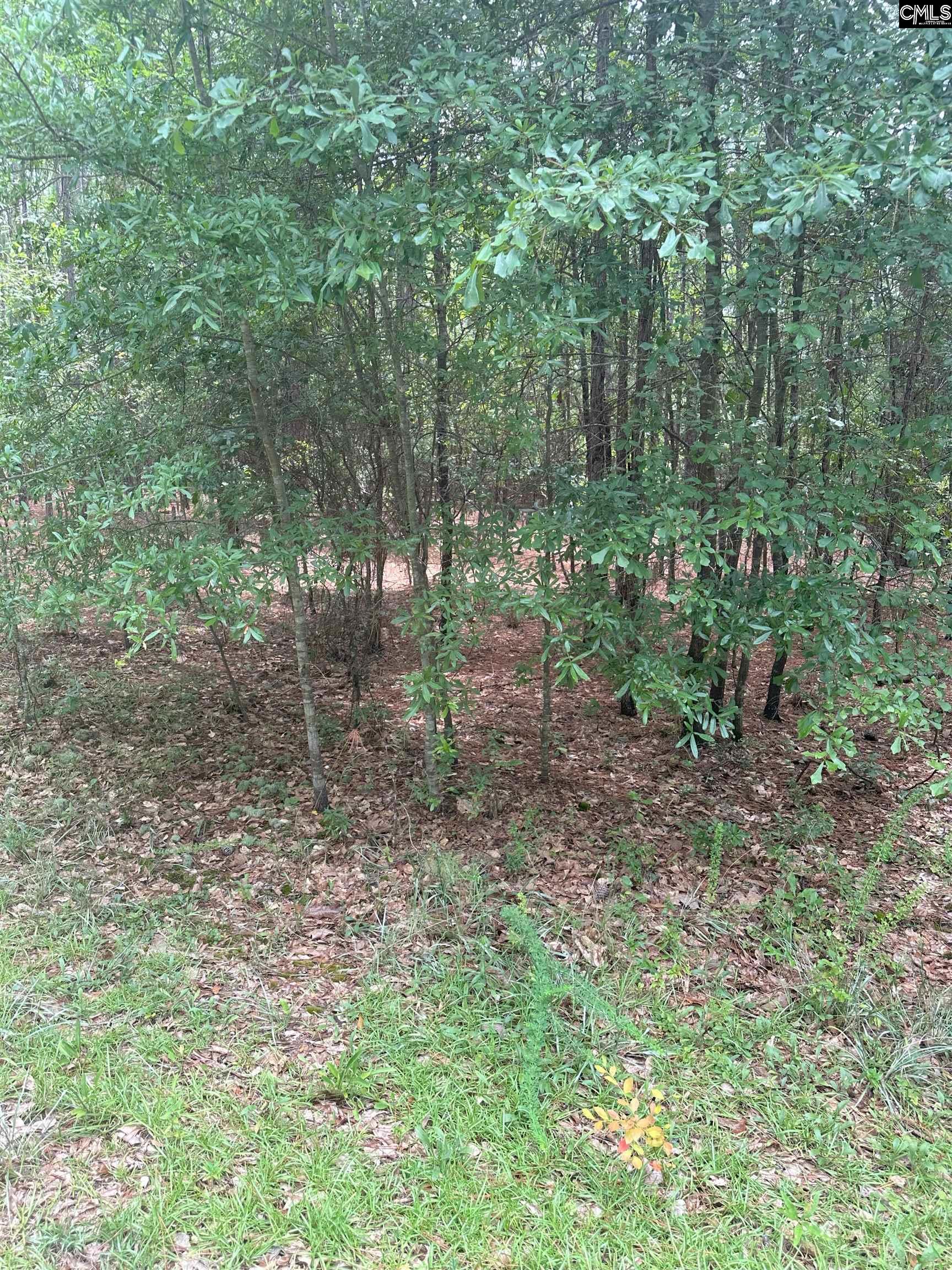 24 Burbage Street Unit #28 Camden, SC 29020-000