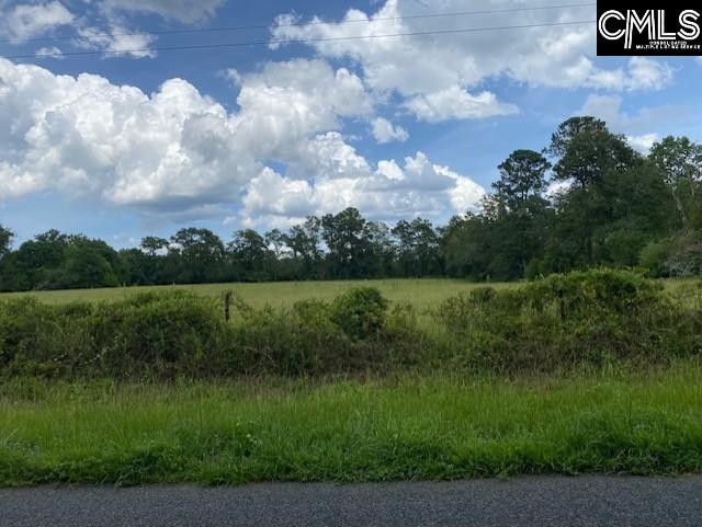 Horses Neck, Swansea, South Carolina image 1