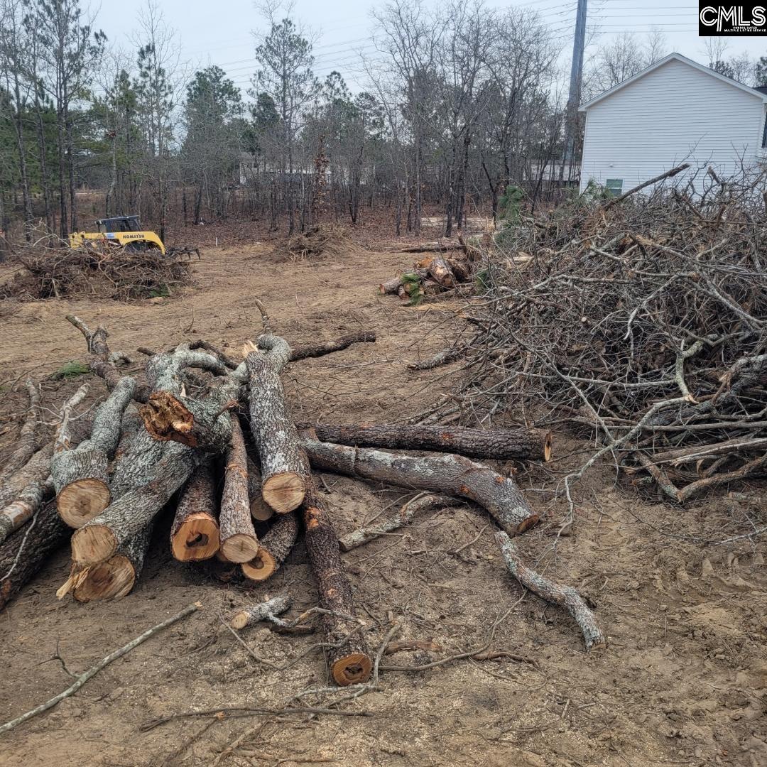 Sandy Knoll Trail, Gaston, South Carolina image 3