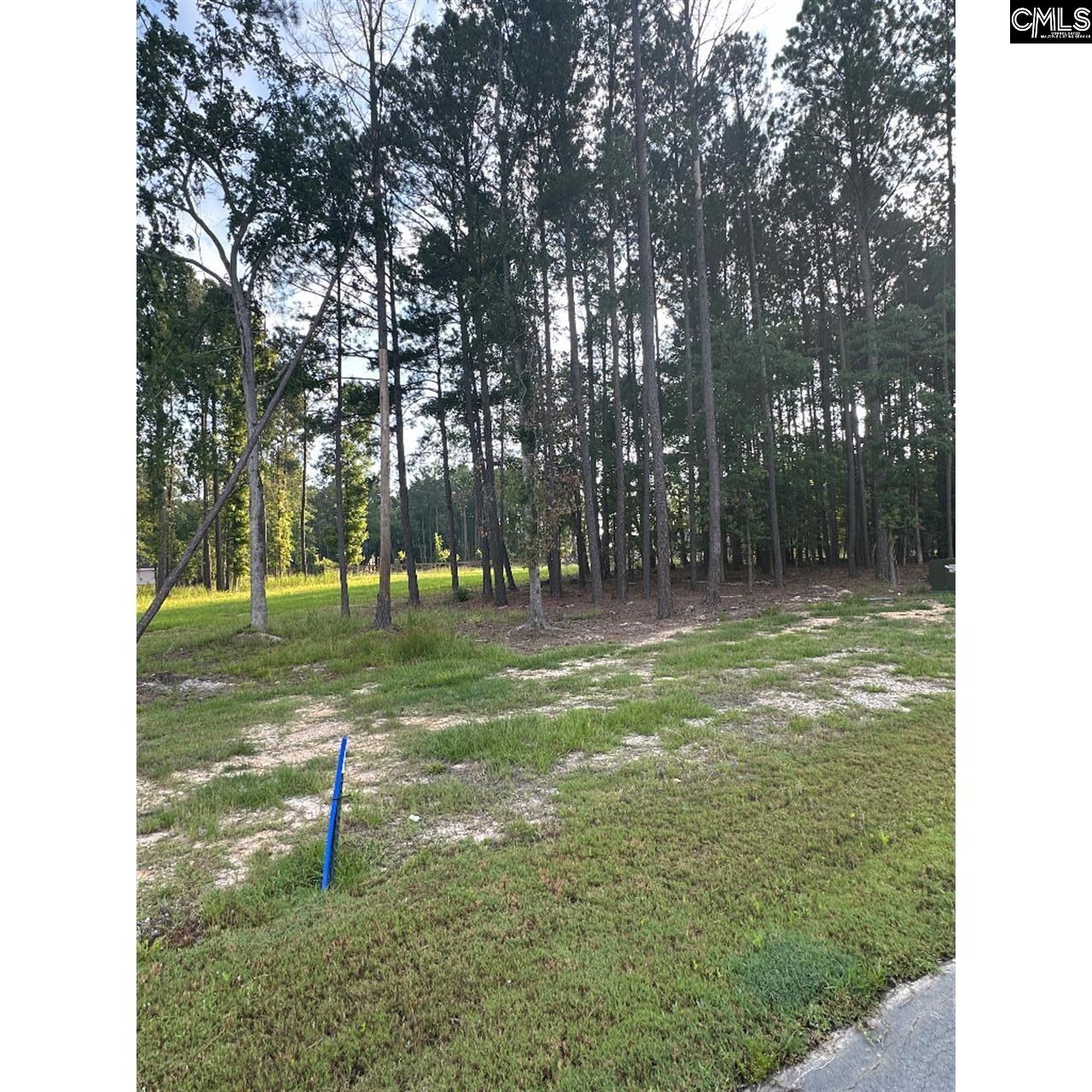 349 Stewart Landing Drive Prosperity, SC 29127