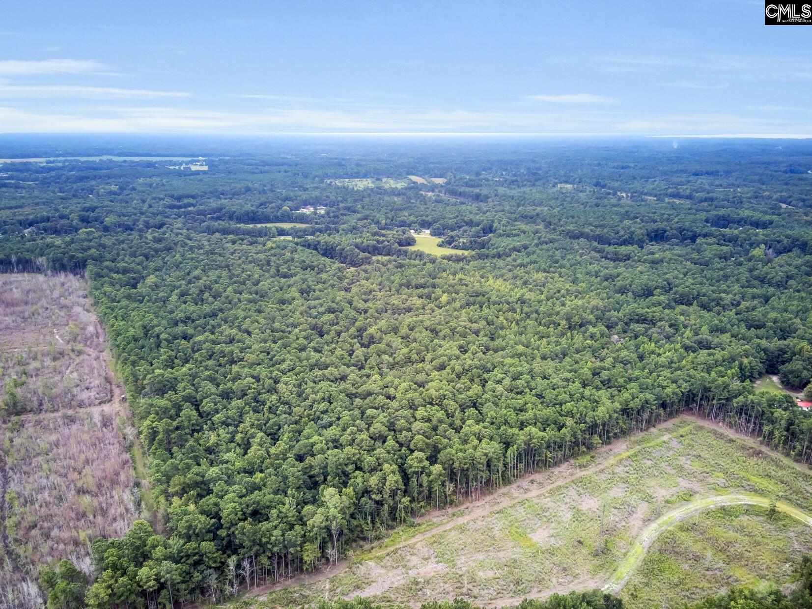 Old Laney Way, Saint Stephen, South Carolina image 2