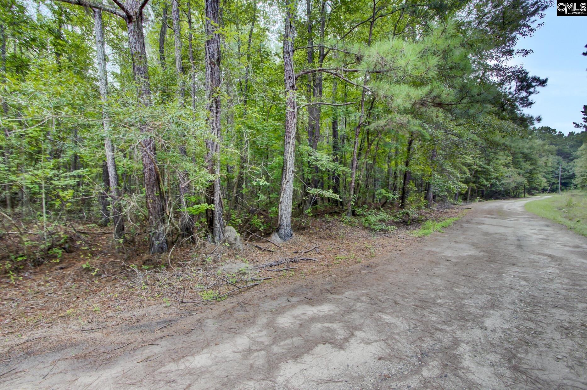 Old Laney Way, Saint Stephen, South Carolina image 9