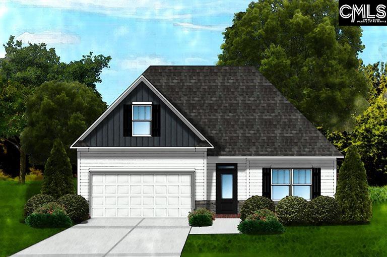 Tbd Ocelot Avenue Lexington, SC 29072