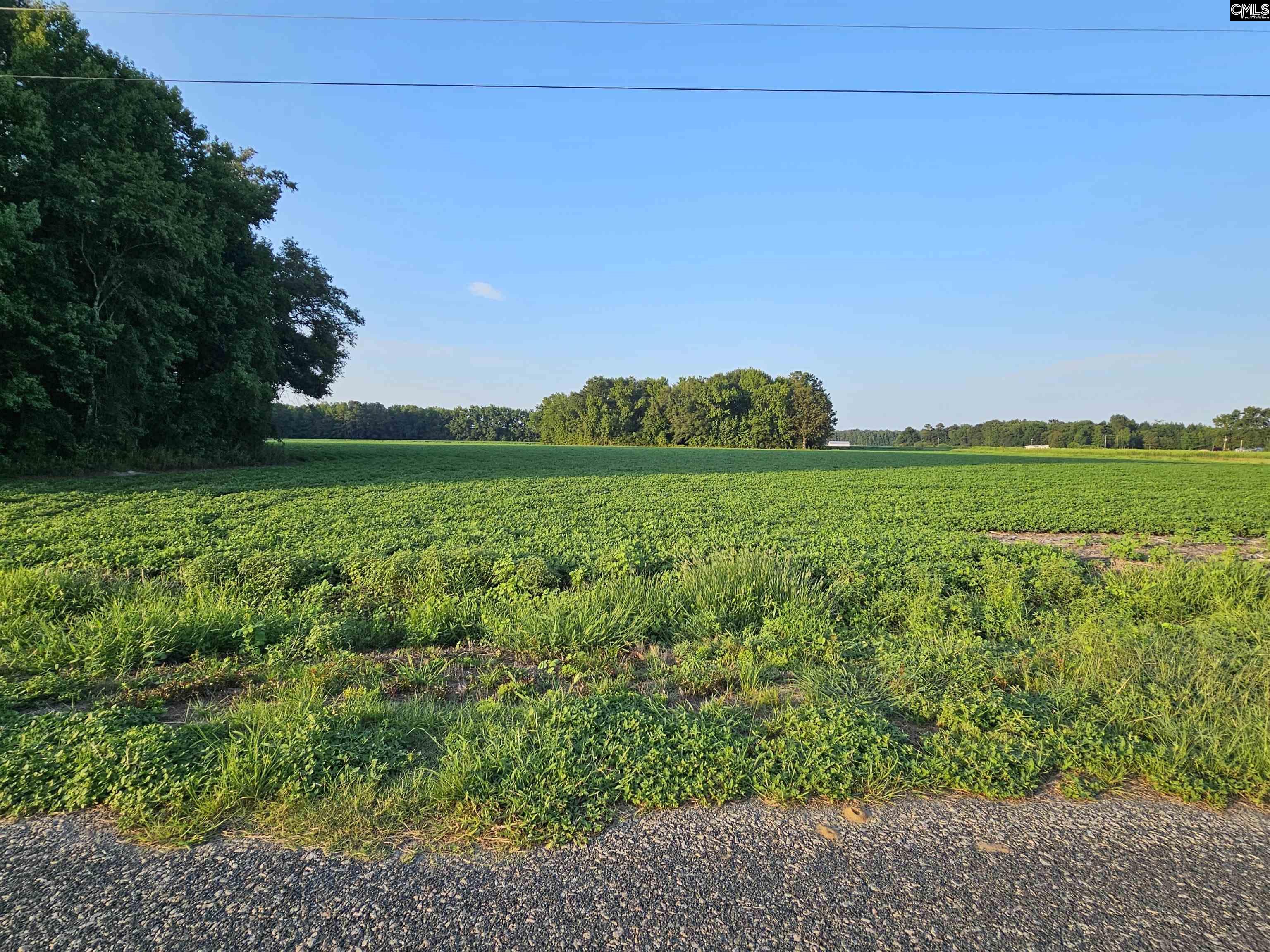 Cardinal Road, Elloree, South Carolina image 1