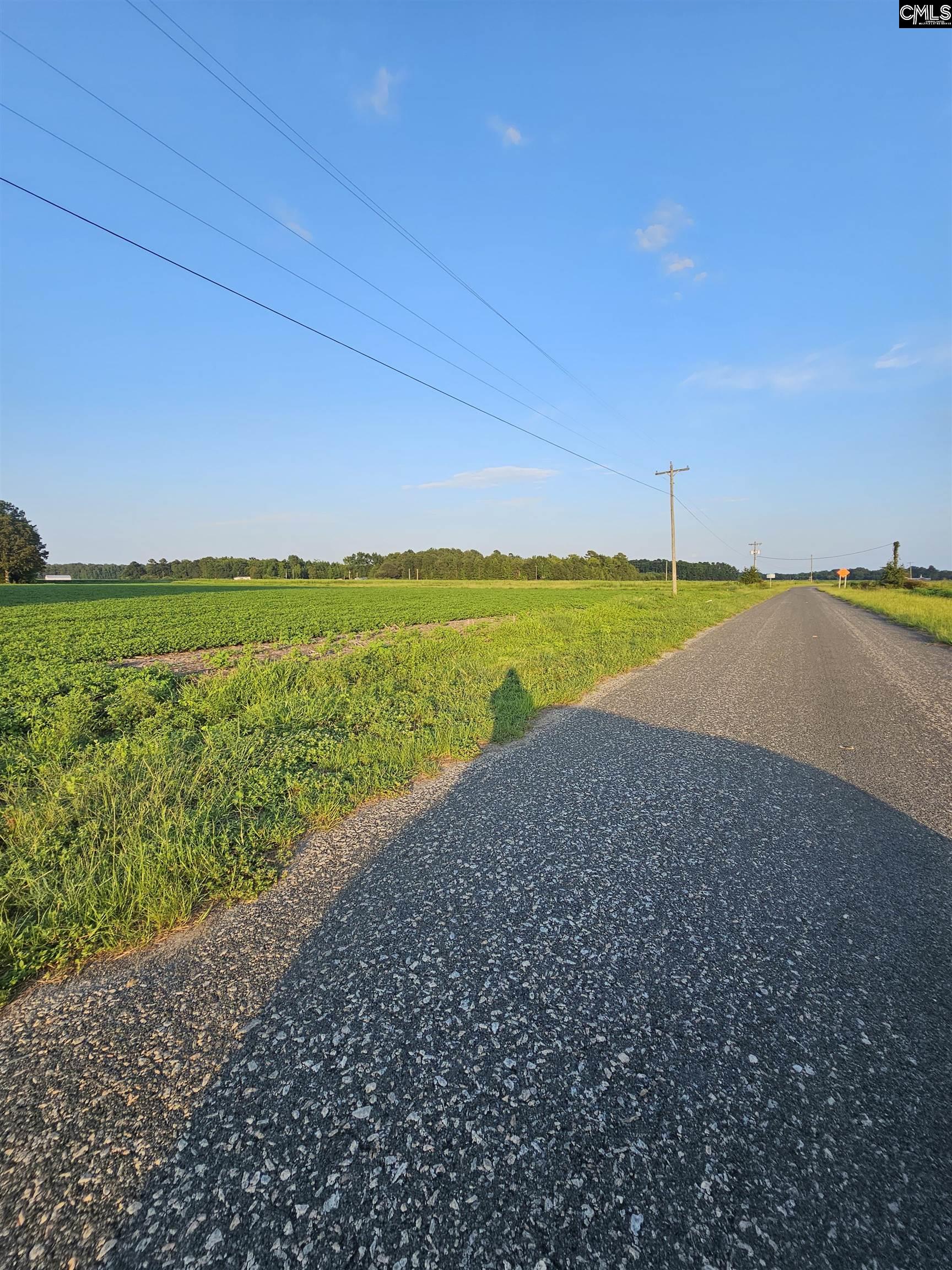 Cardinal Road, Elloree, South Carolina image 11