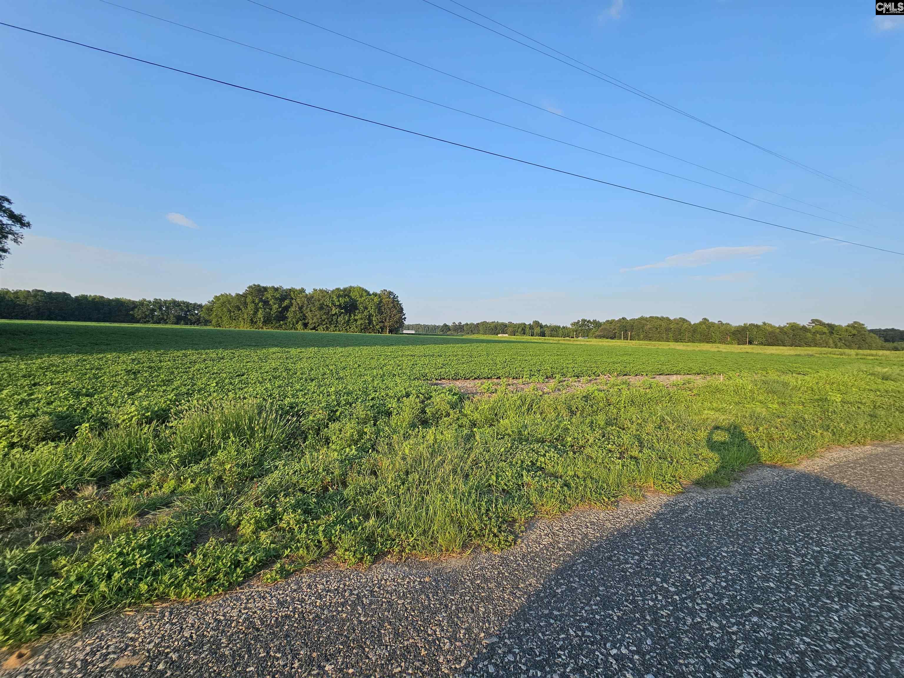 Cardinal Road, Elloree, South Carolina image 12