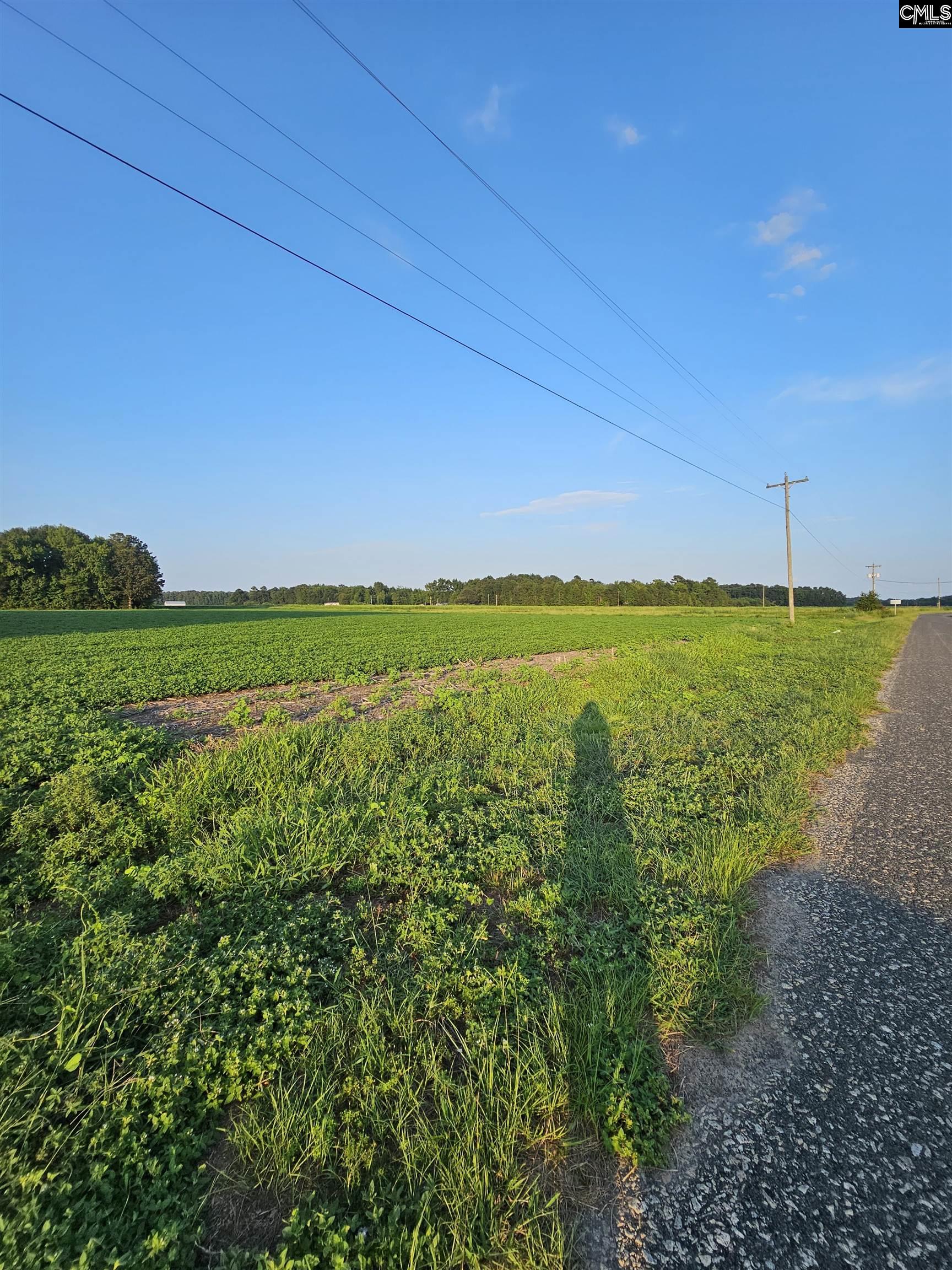 Cardinal Road, Elloree, South Carolina image 7