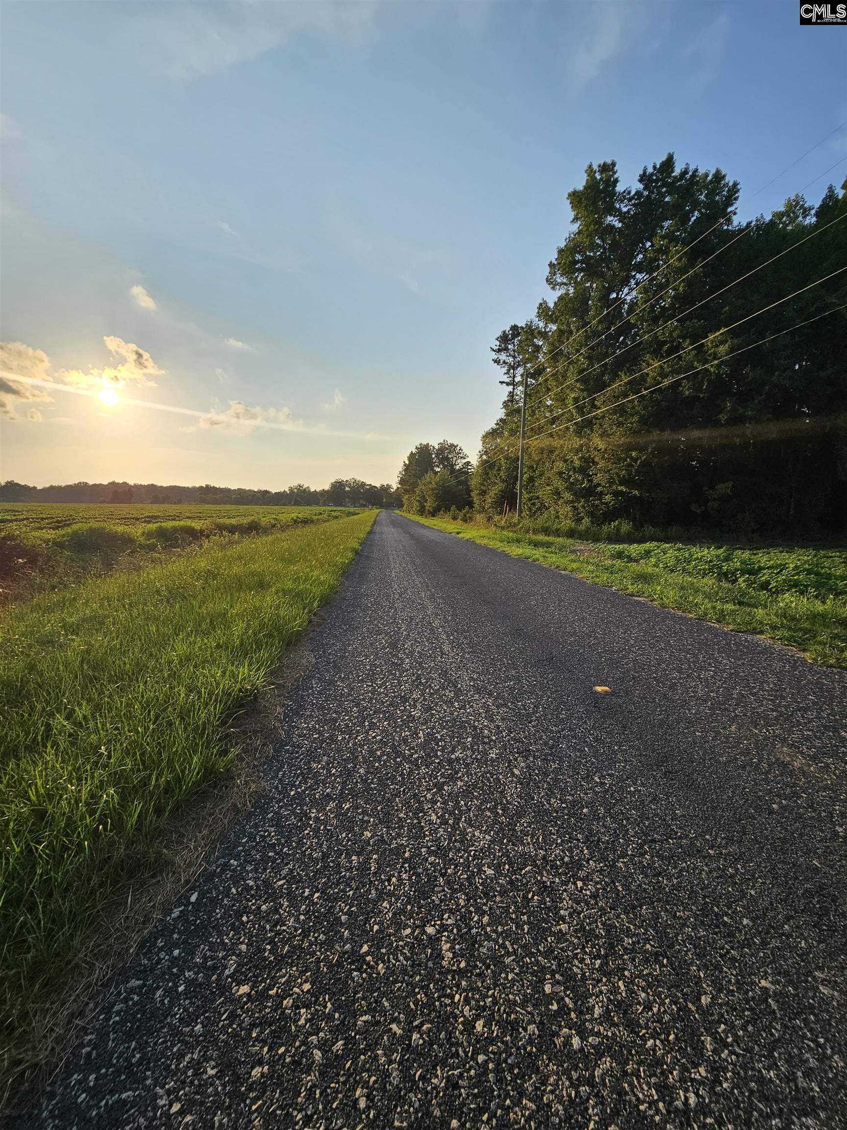 Cardinal Road, Elloree, South Carolina image 10