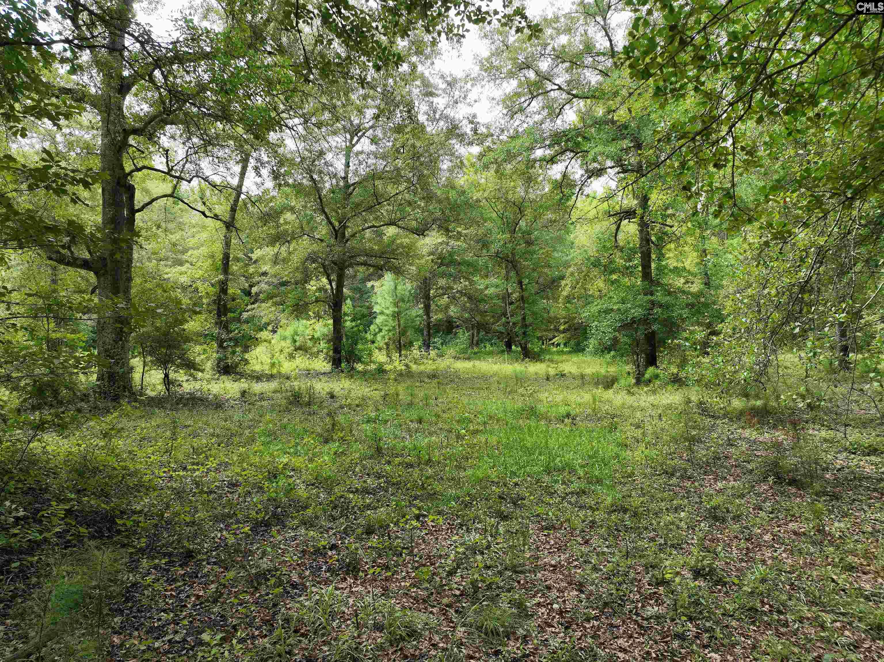 108 Pond Arch Road, Eastover, South Carolina image 3