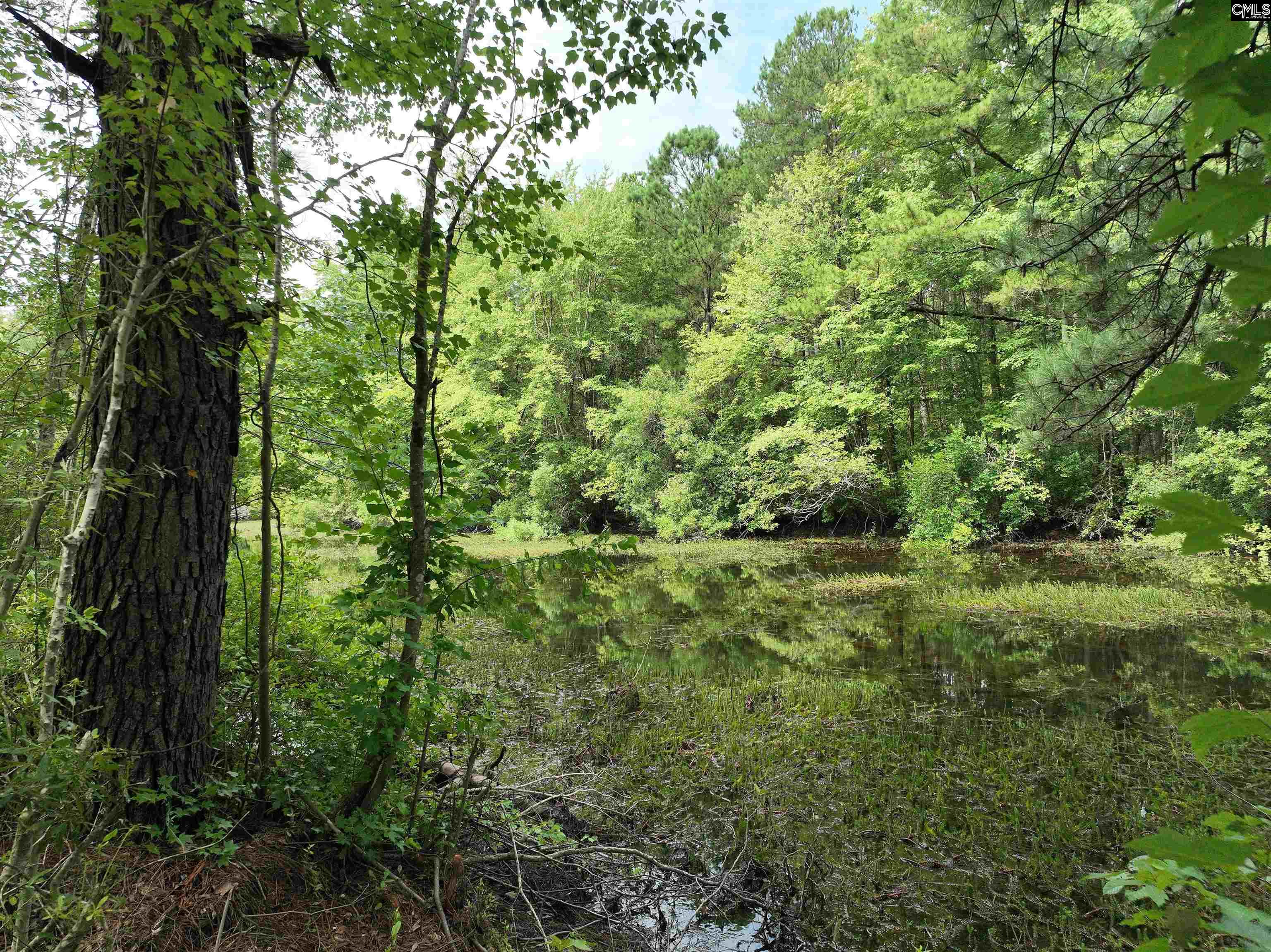 108 Pond Arch Road, Eastover, South Carolina image 4