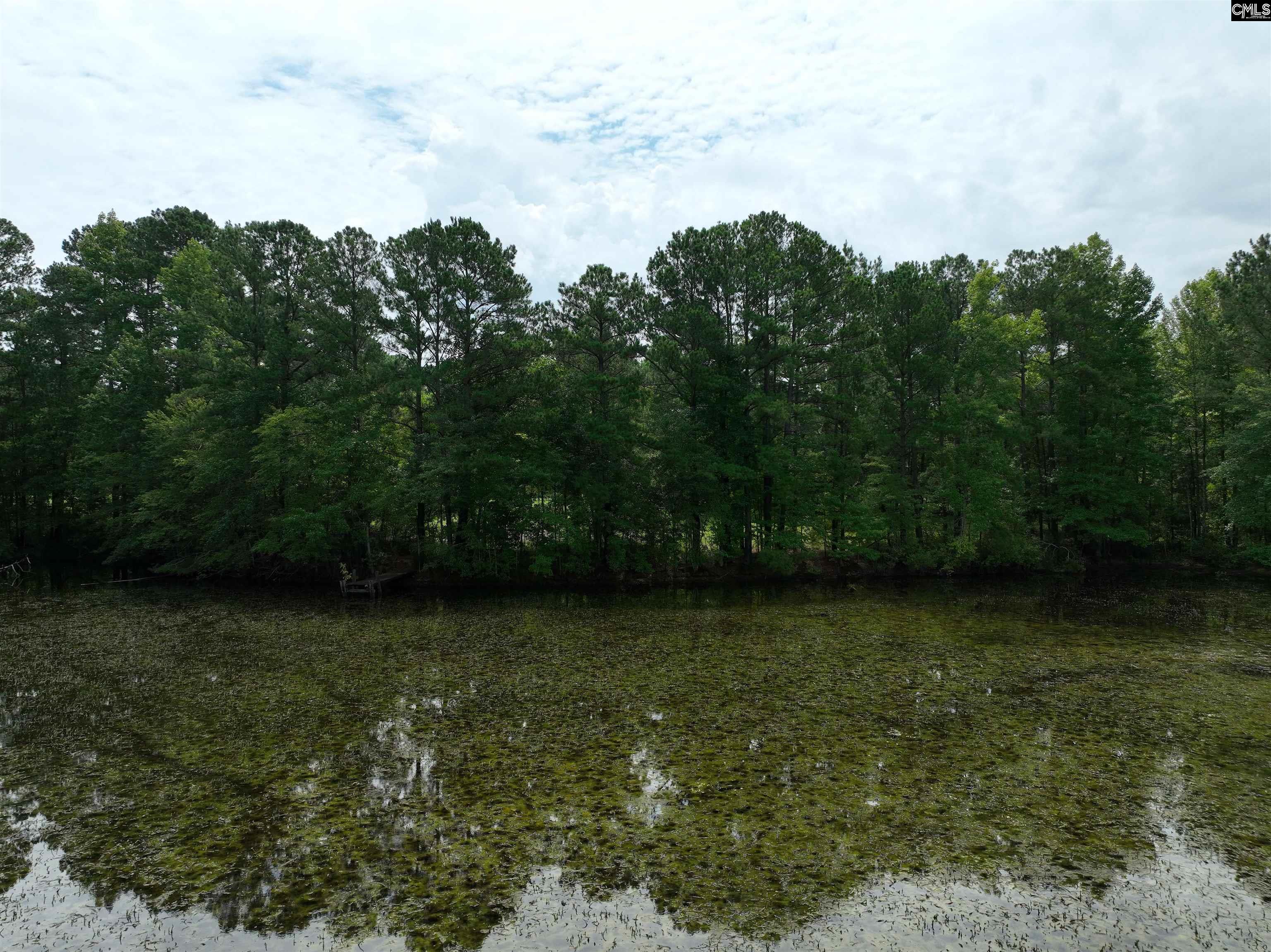 108 Pond Arch Road, Eastover, South Carolina image 5
