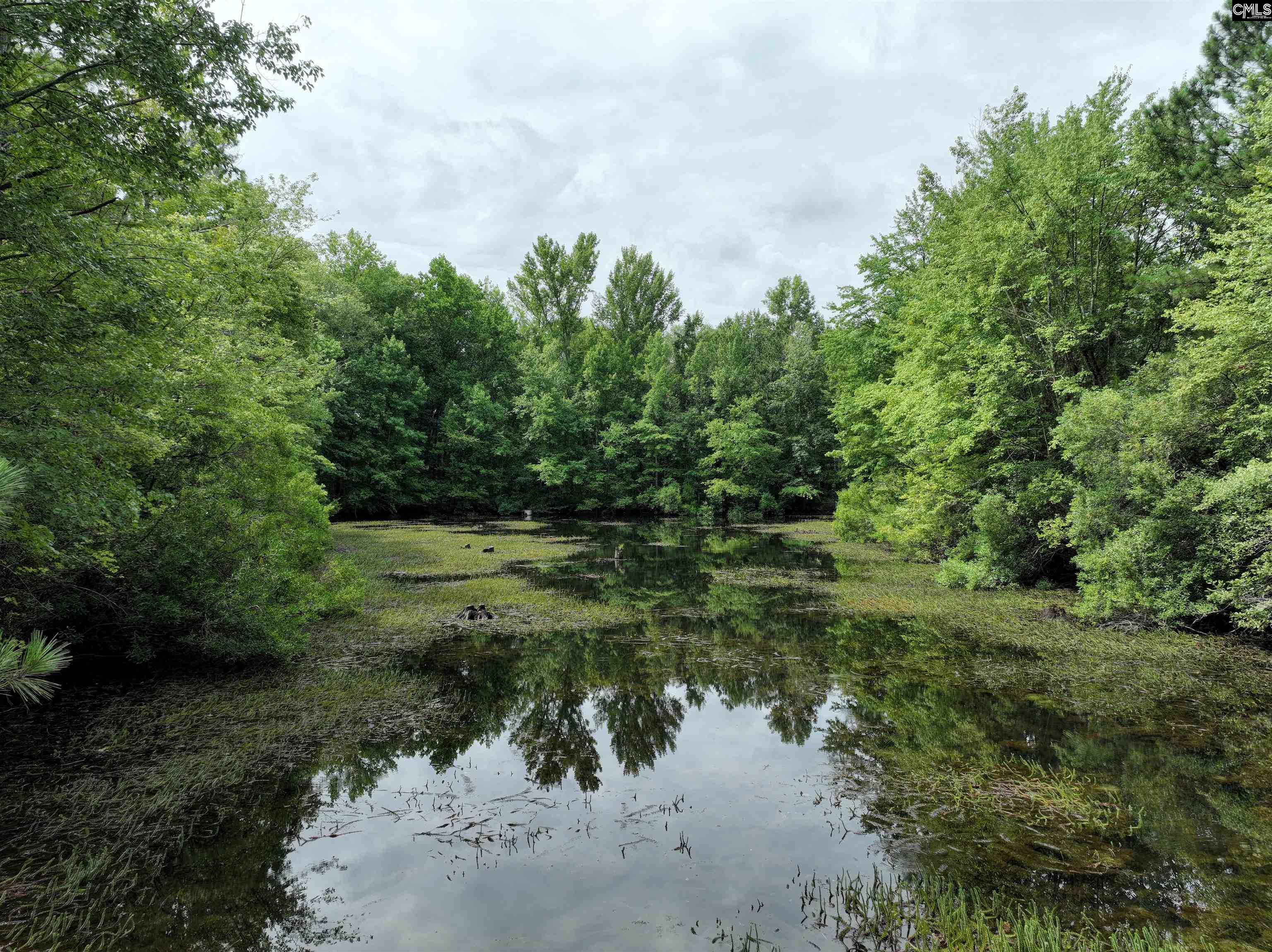 108 Pond Arch Road, Eastover, South Carolina image 48