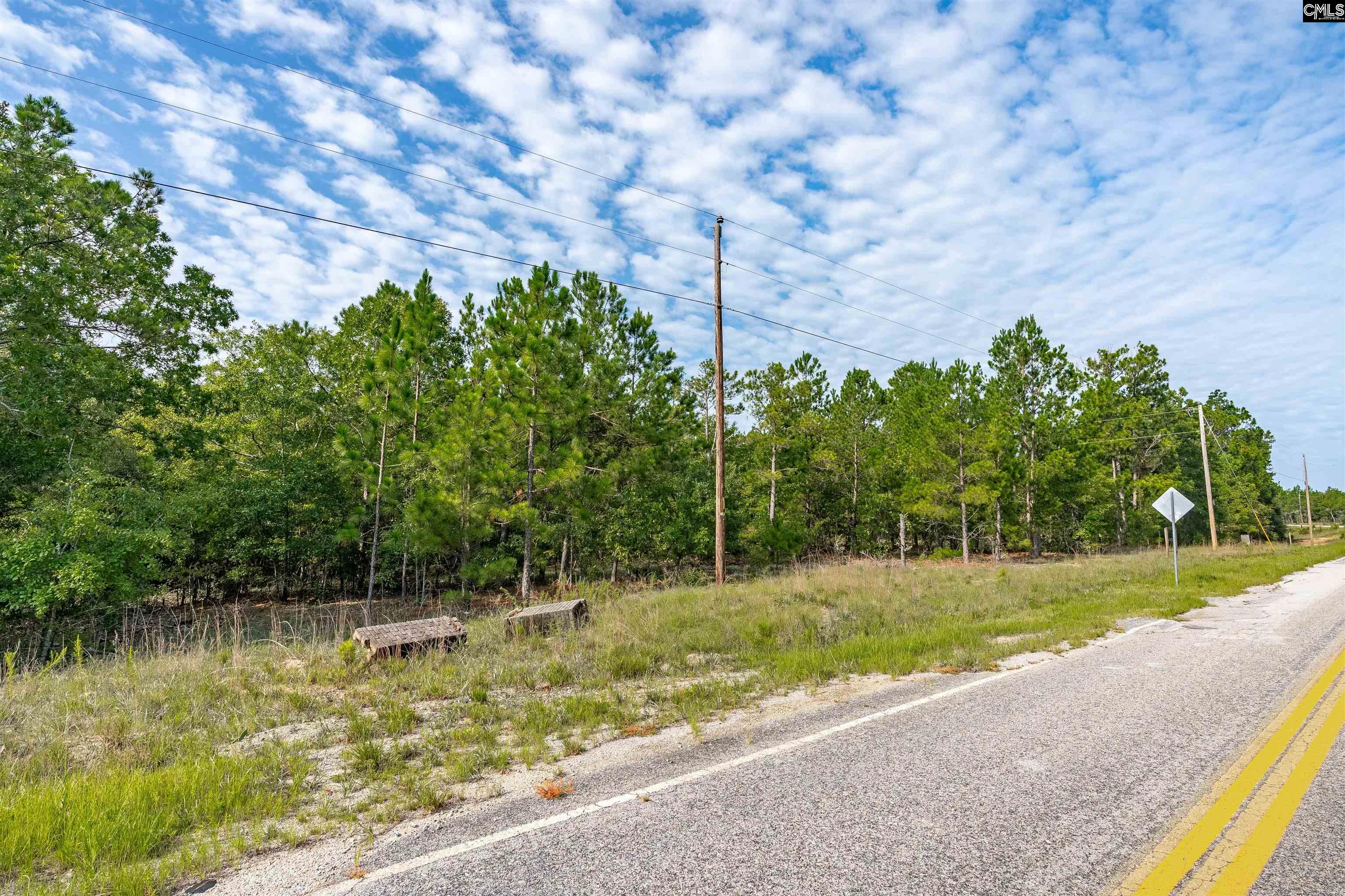 S S Toms Creek Road Hopkins, SC 29061