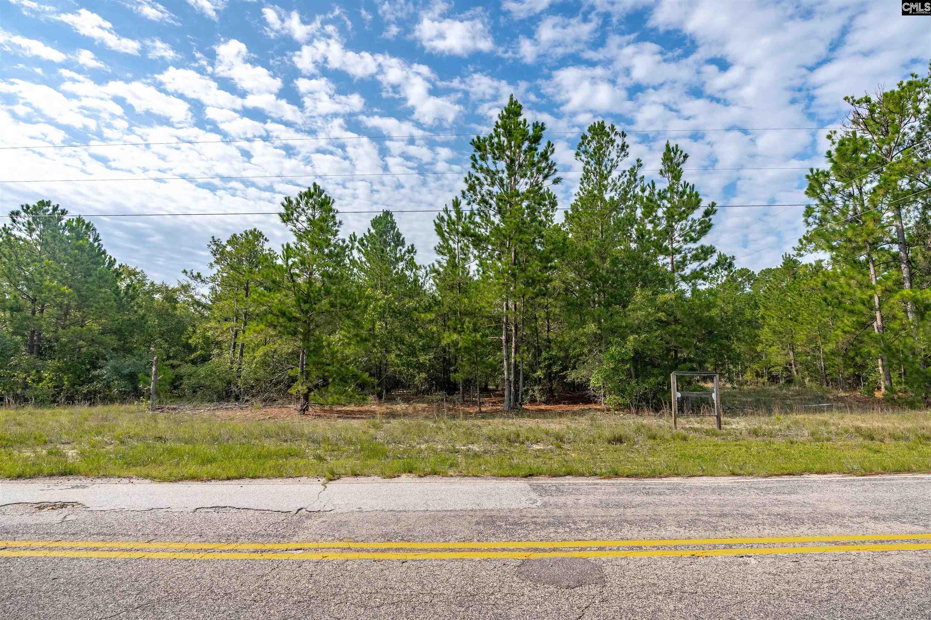 S S Toms Creek Road Hopkins, SC 29061