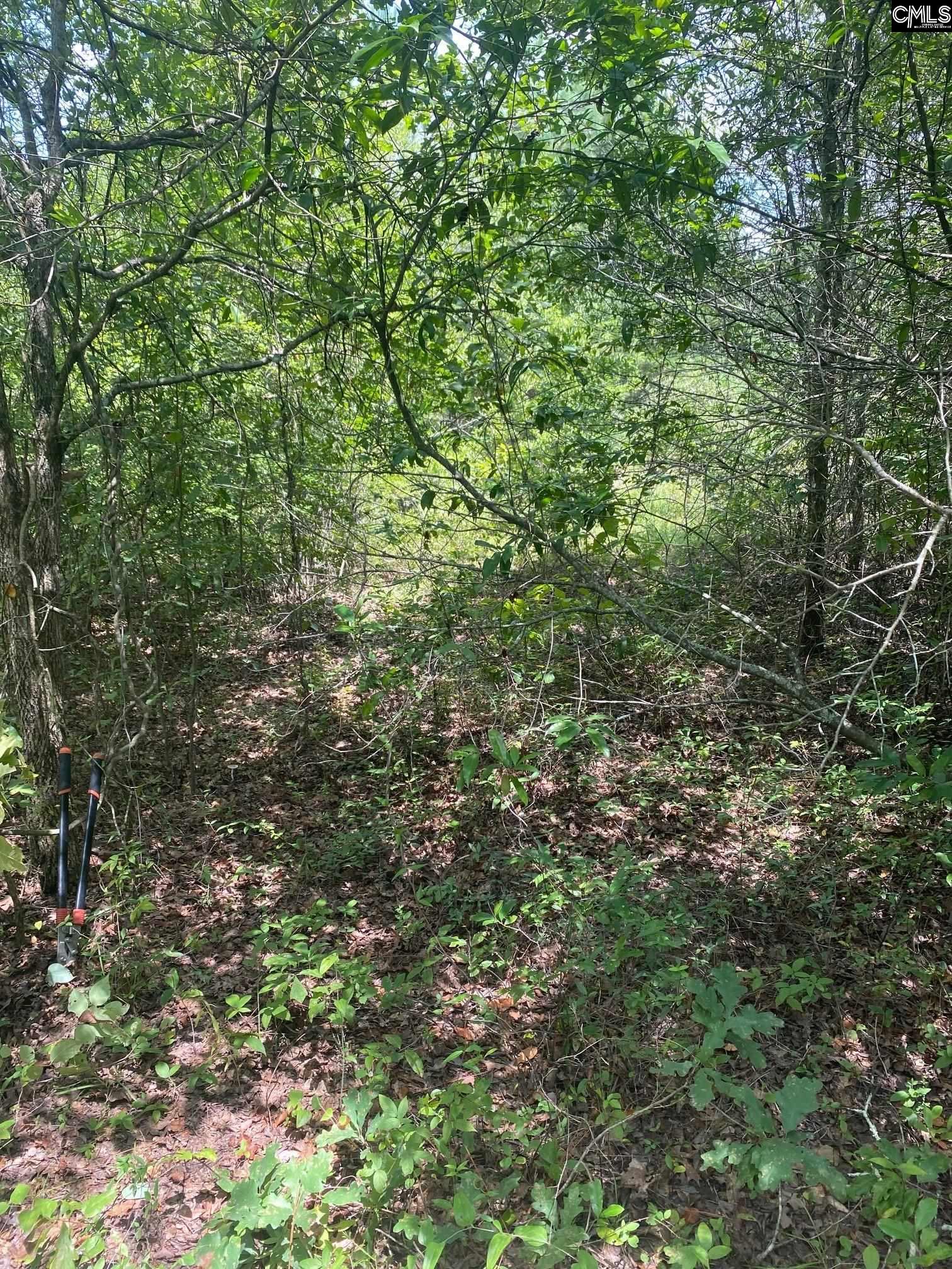 Rutherford Road Lexington, SC 29073